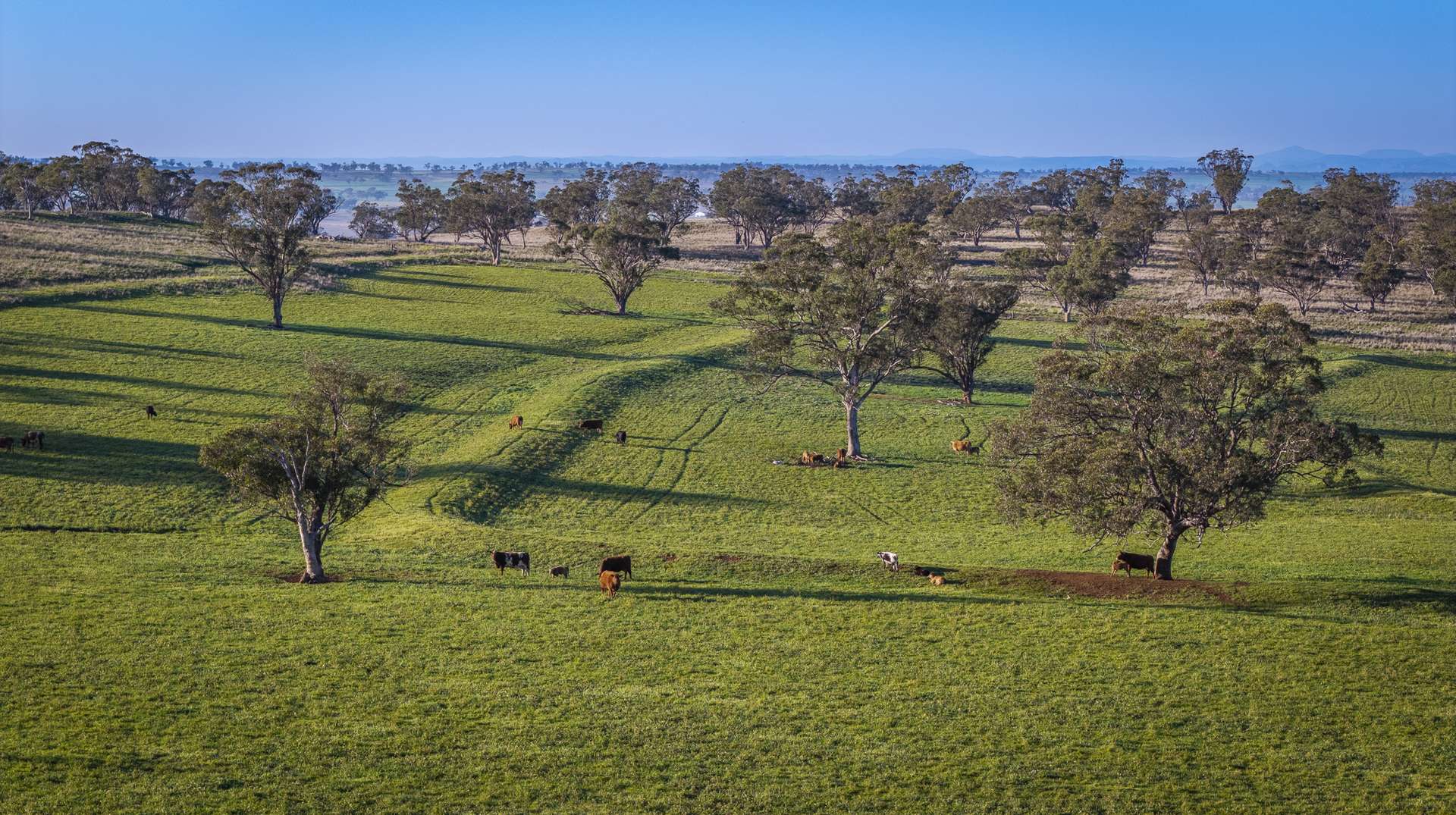 6507 Golden Highway, Merriwa Auction by Farmbuy.com - image 17