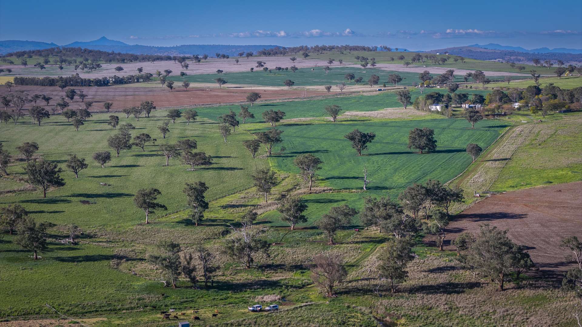 6507 Golden Highway, Merriwa Auction by Farmbuy.com - image 13