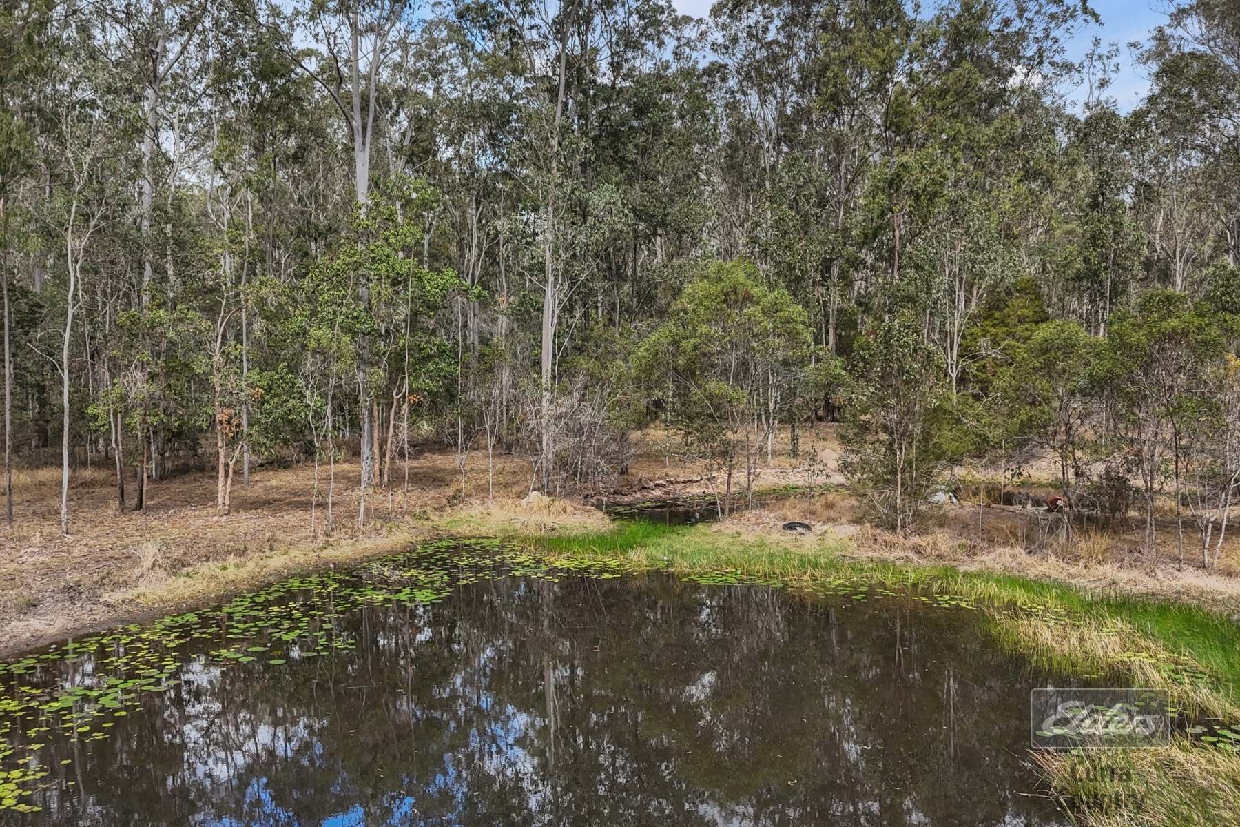 241 Cliff Jones Road, Curra For Sale by Farmbuy.com - image 11