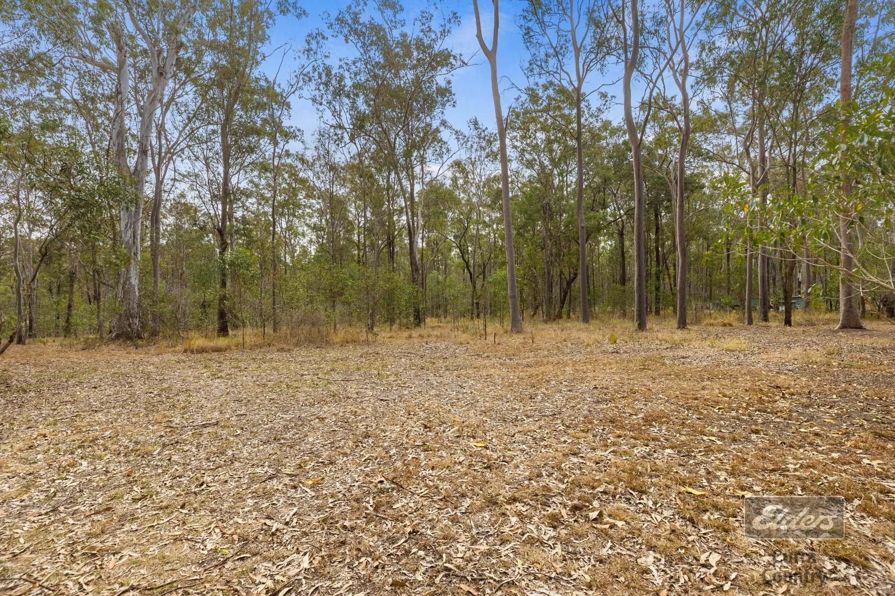 241 Cliff Jones Road, Curra For Sale by Farmbuy.com - image 14