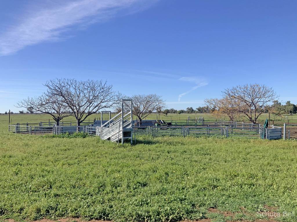 3075 Trangie Dandaloo Rd, Dandaloo NSW 2823