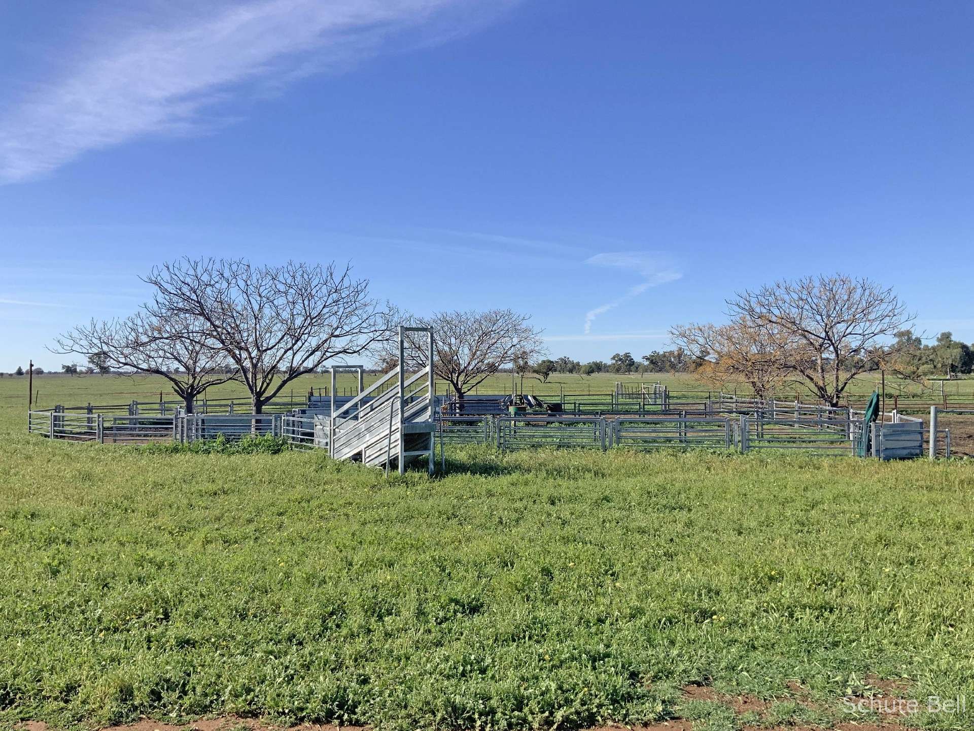3075 Trangie Dandaloo Rd, Dandaloo For Sale by Farmbuy.com - image 1