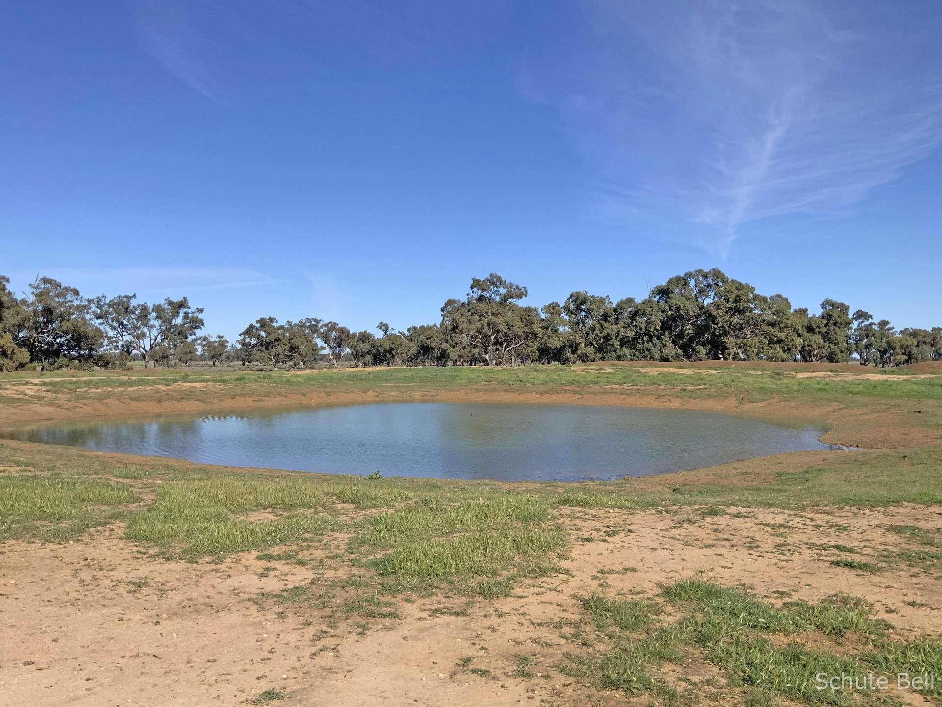 3075 Trangie Dandaloo Rd, Dandaloo For Sale by Farmbuy.com - image 3
