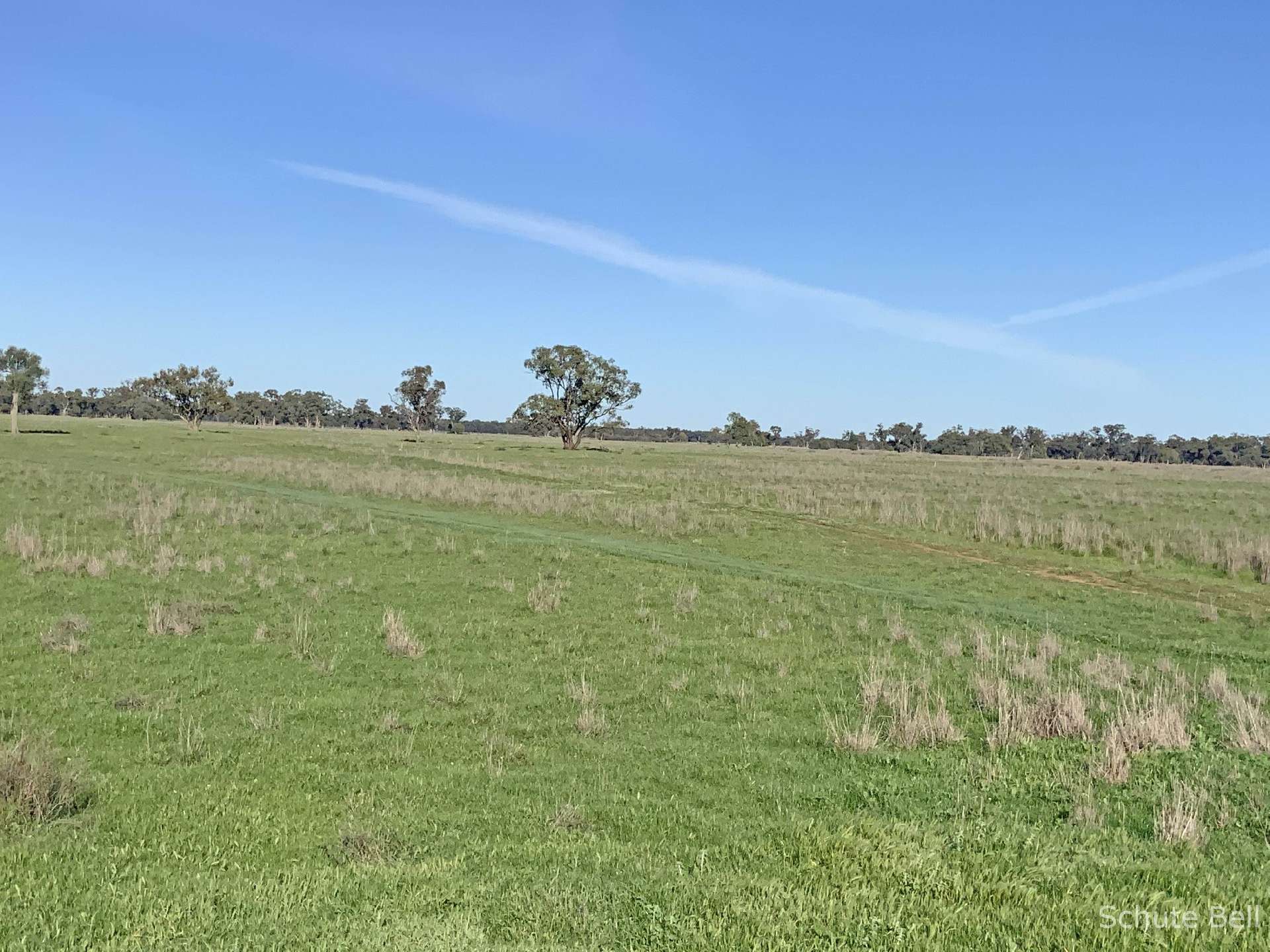 3075 Trangie Dandaloo Rd, Dandaloo For Sale by Farmbuy.com - image 7