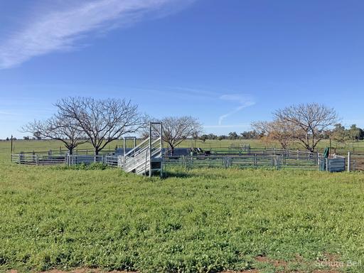 3075 Trangie Dandaloo Rd, Dandaloo NSW 2823