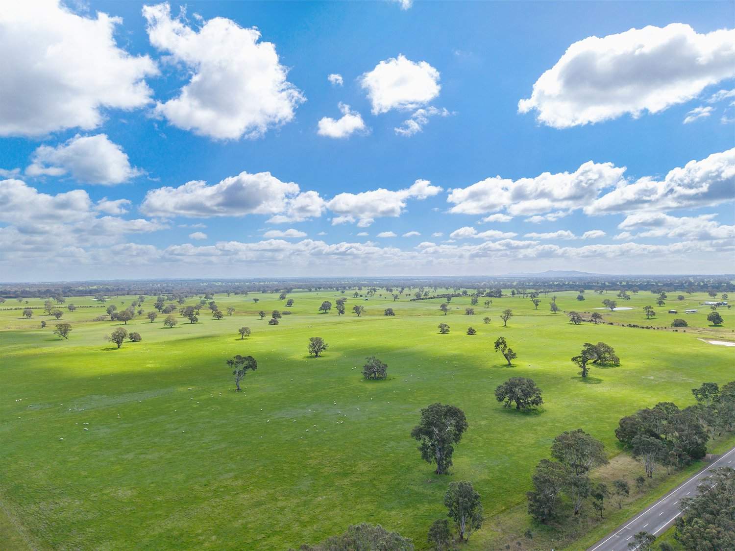 1405 Henty Highway, Hensley Park For Sale by Farmbuy.com - image 2