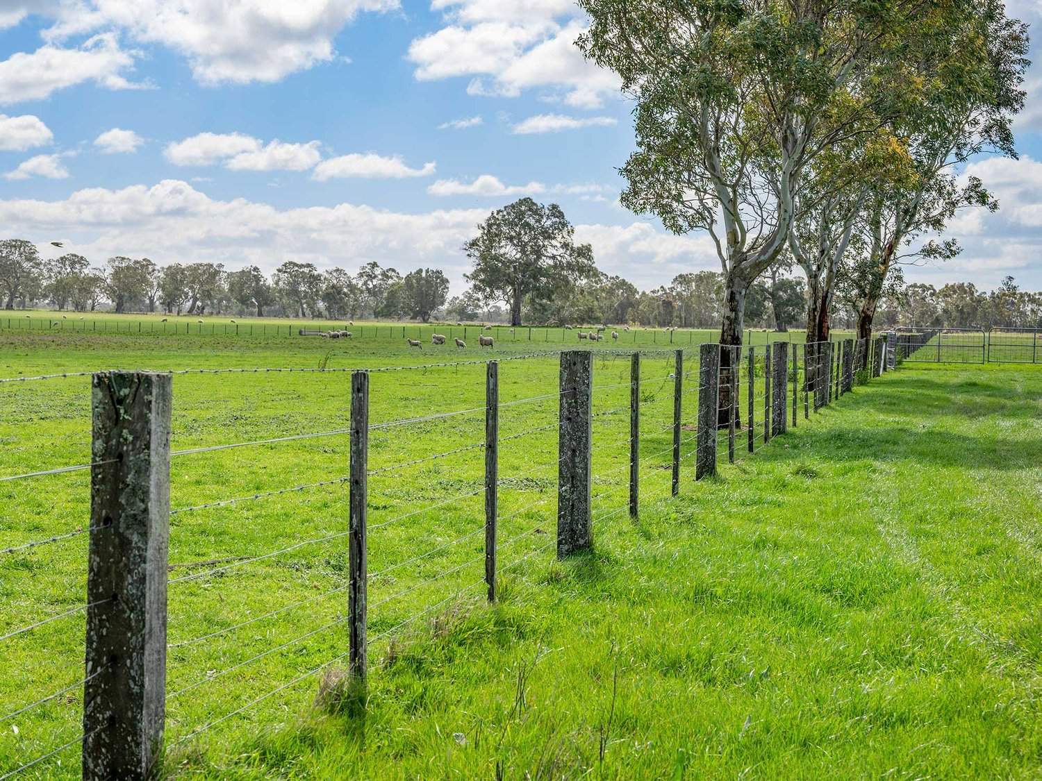 1405 Henty Highway, Hensley Park For Sale by Farmbuy.com - image 32
