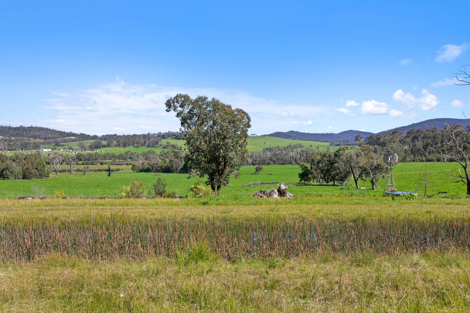 110 Topp Road, Tonimbuk For Sale by Farmbuy.com - image 2