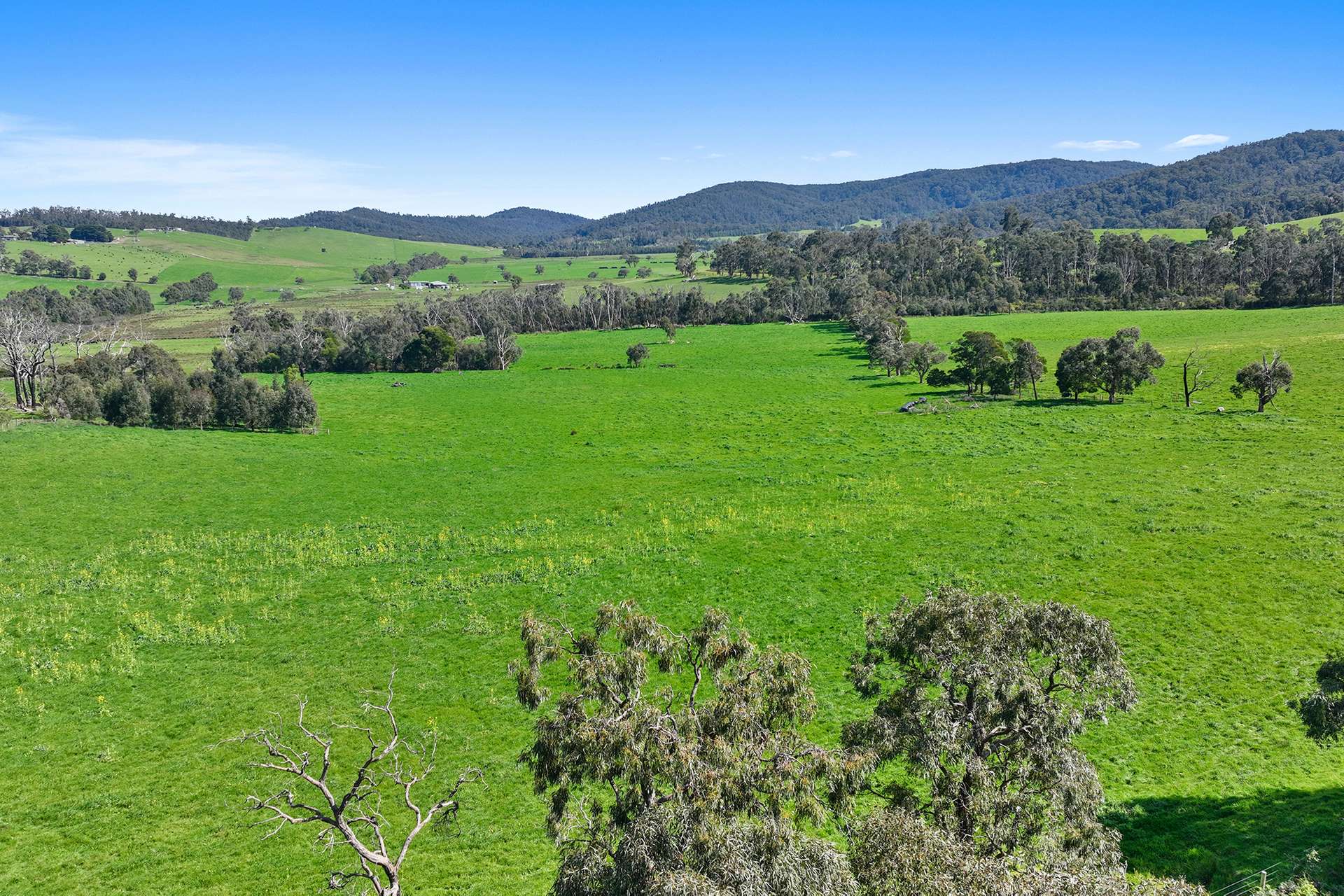 110 Topp Road, Tonimbuk For Sale by Farmbuy.com - image 15