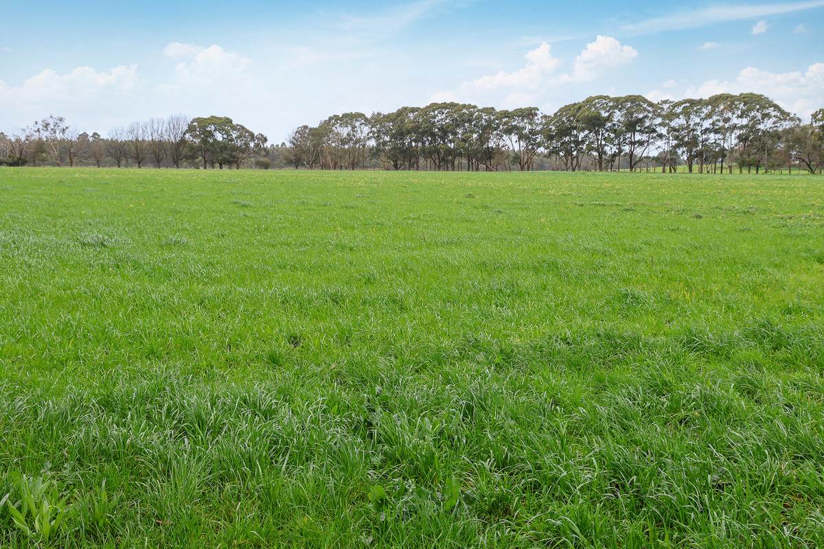 'Oak Park' 652 Myamyn-Macarthur Road, Breakaway Creek For Sale by Farmbuy.com - image 24