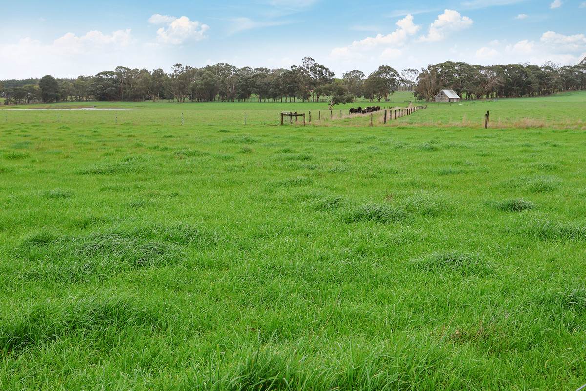'Oak Park' 652 Myamyn-Macarthur Road, Breakaway Creek For Sale by Farmbuy.com - image 25