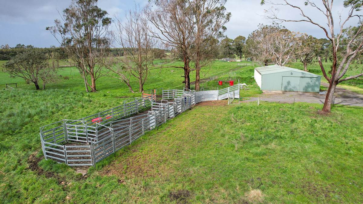 'Oak Park' 652 Myamyn-Macarthur Road, Breakaway Creek For Sale by Farmbuy.com - image 15