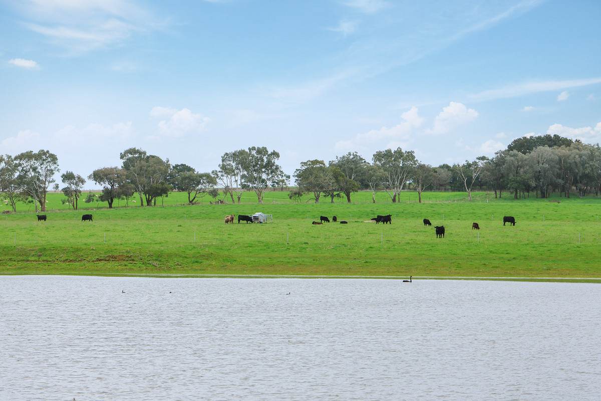 'Oak Park' 652 Myamyn-Macarthur Road, Breakaway Creek For Sale by Farmbuy.com - image 23