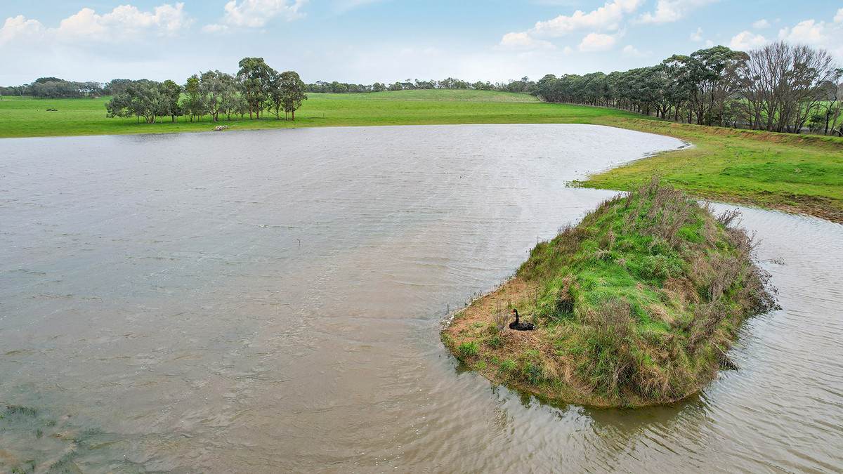 'Oak Park' 652 Myamyn-Macarthur Road, Breakaway Creek For Sale by Farmbuy.com - image 18