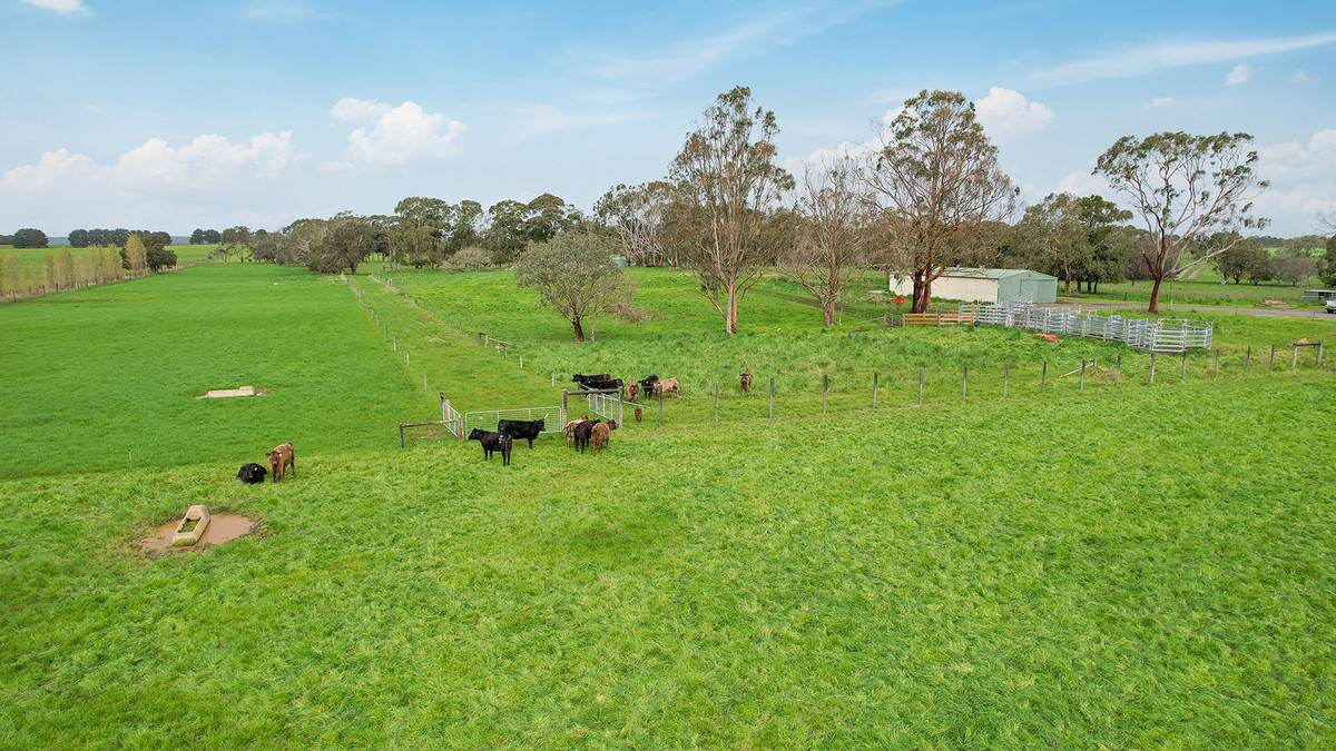 'Oak Park' 652 Myamyn-Macarthur Road, Breakaway Creek For Sale by Farmbuy.com - image 16