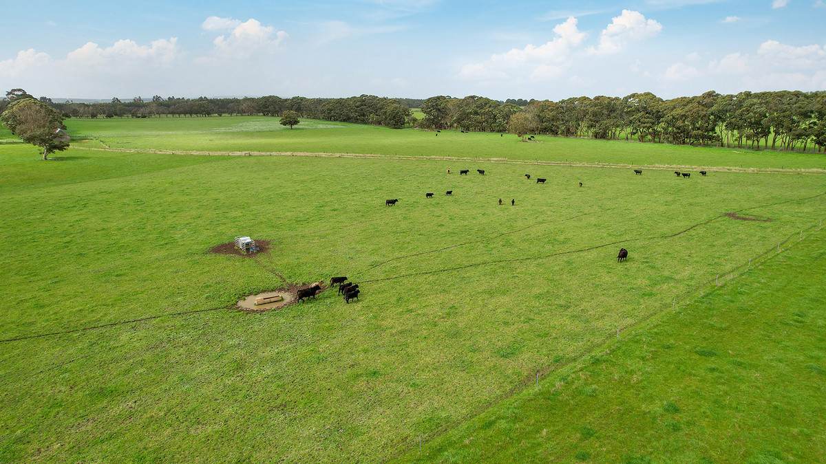 'Oak Park' 652 Myamyn-Macarthur Road, Breakaway Creek For Sale by Farmbuy.com - image 19