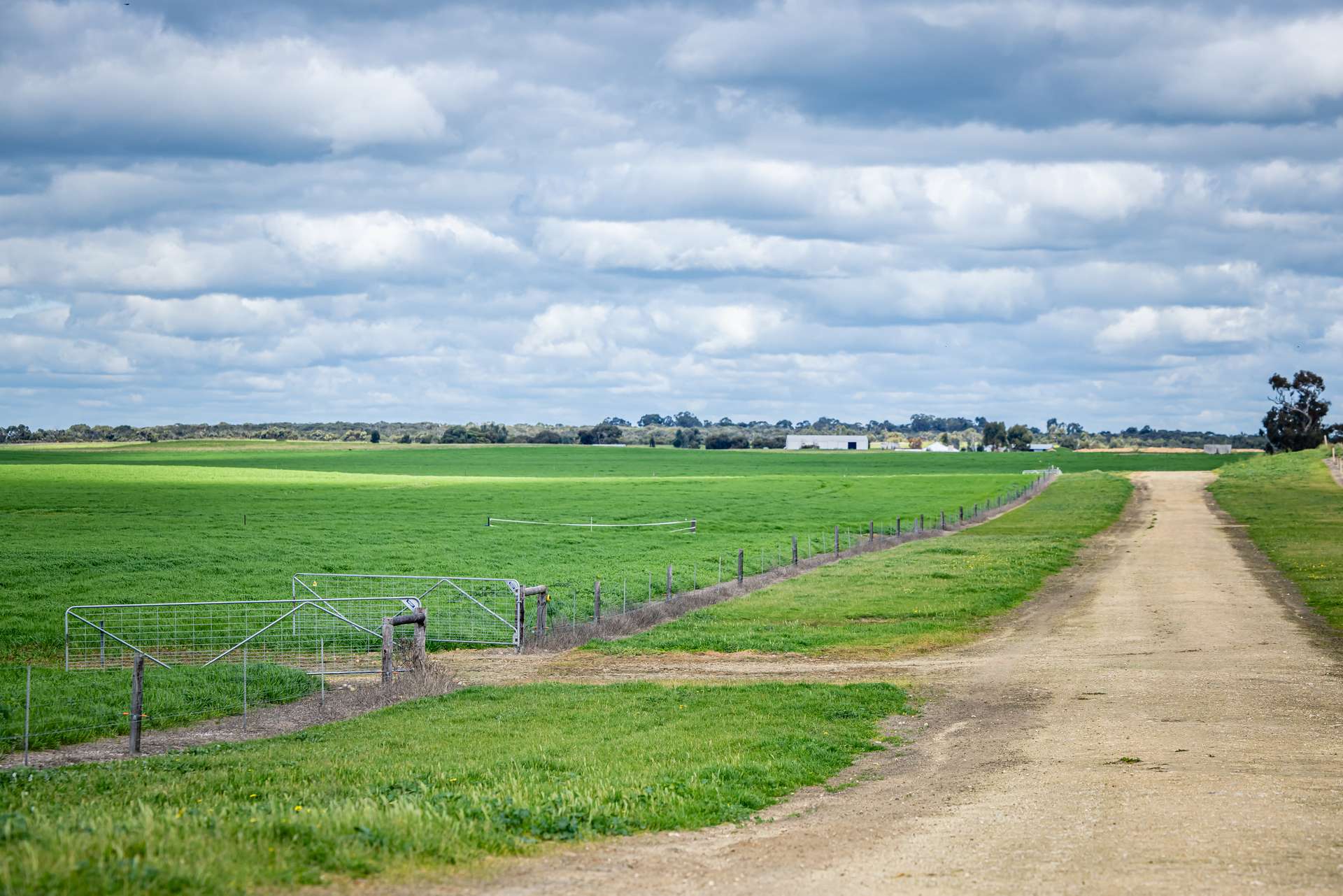 1769 Emu Flat Road, Keith For Sale by Farmbuy.com - image 25