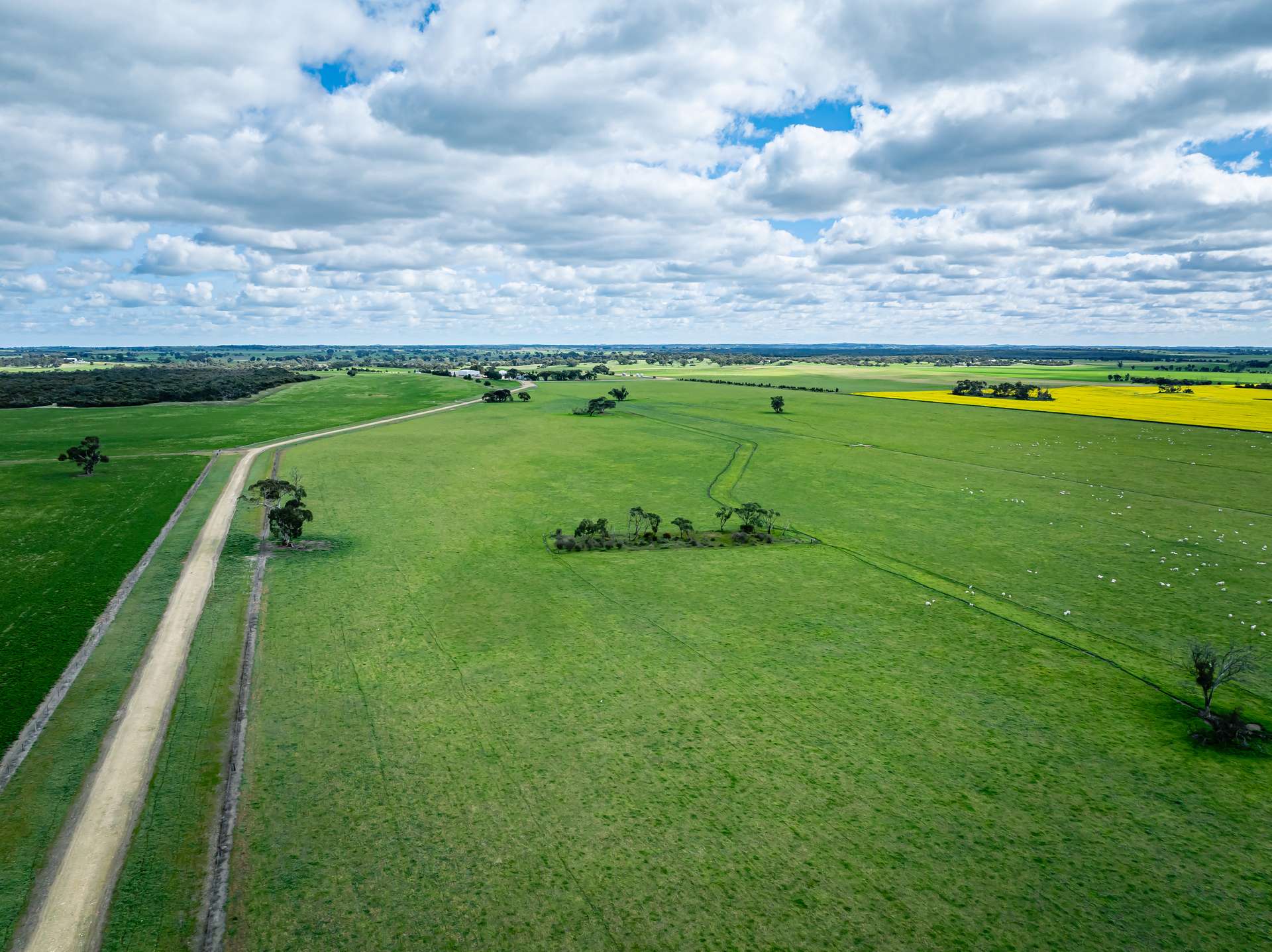 1769 Emu Flat Road, Keith For Sale by Farmbuy.com - image 23