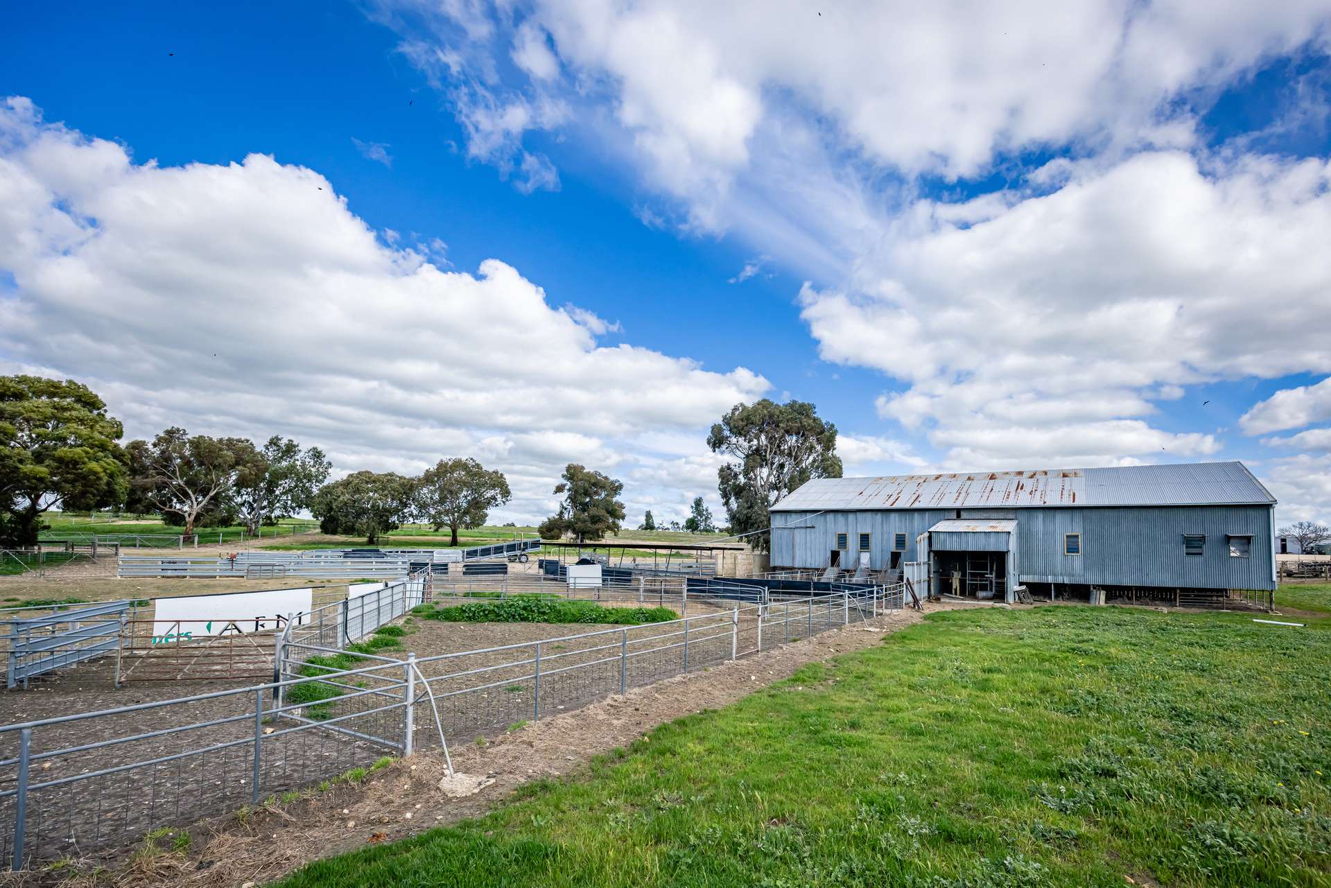 1769 Emu Flat Road, Keith For Sale by Farmbuy.com - image 19