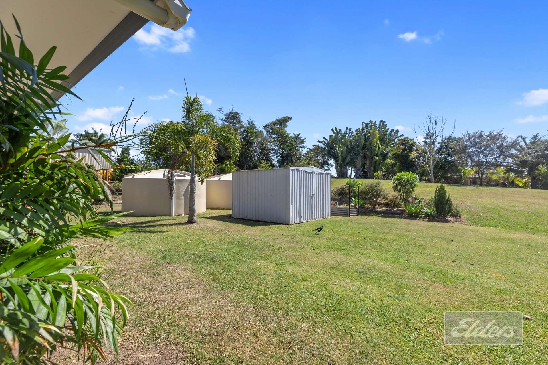 46 Larkin Road, Pie Creek For Sale by Farmbuy.com - image 18