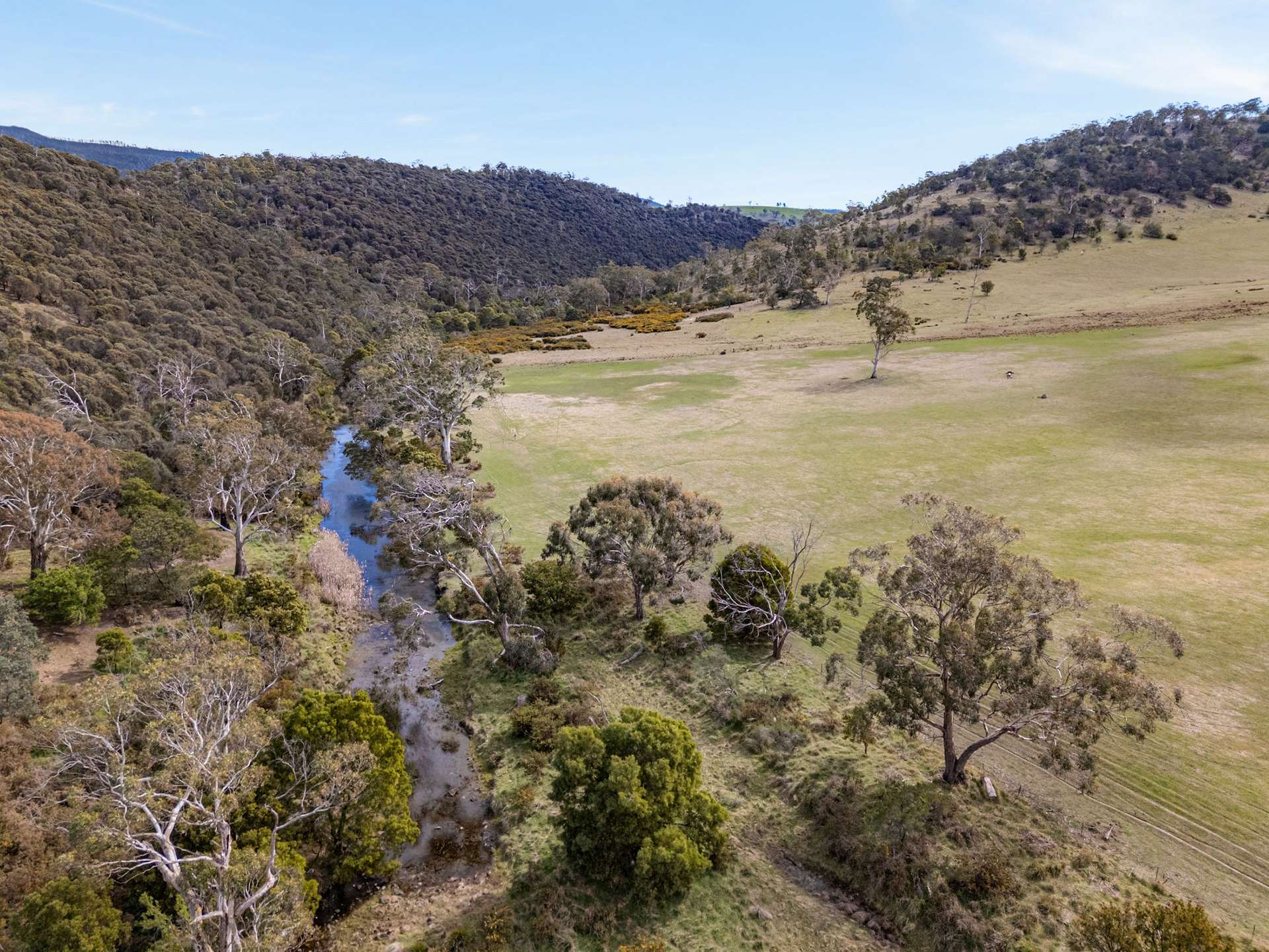 669 Black Brush Road, Broadmarsh For Sale by Farmbuy.com - image 12