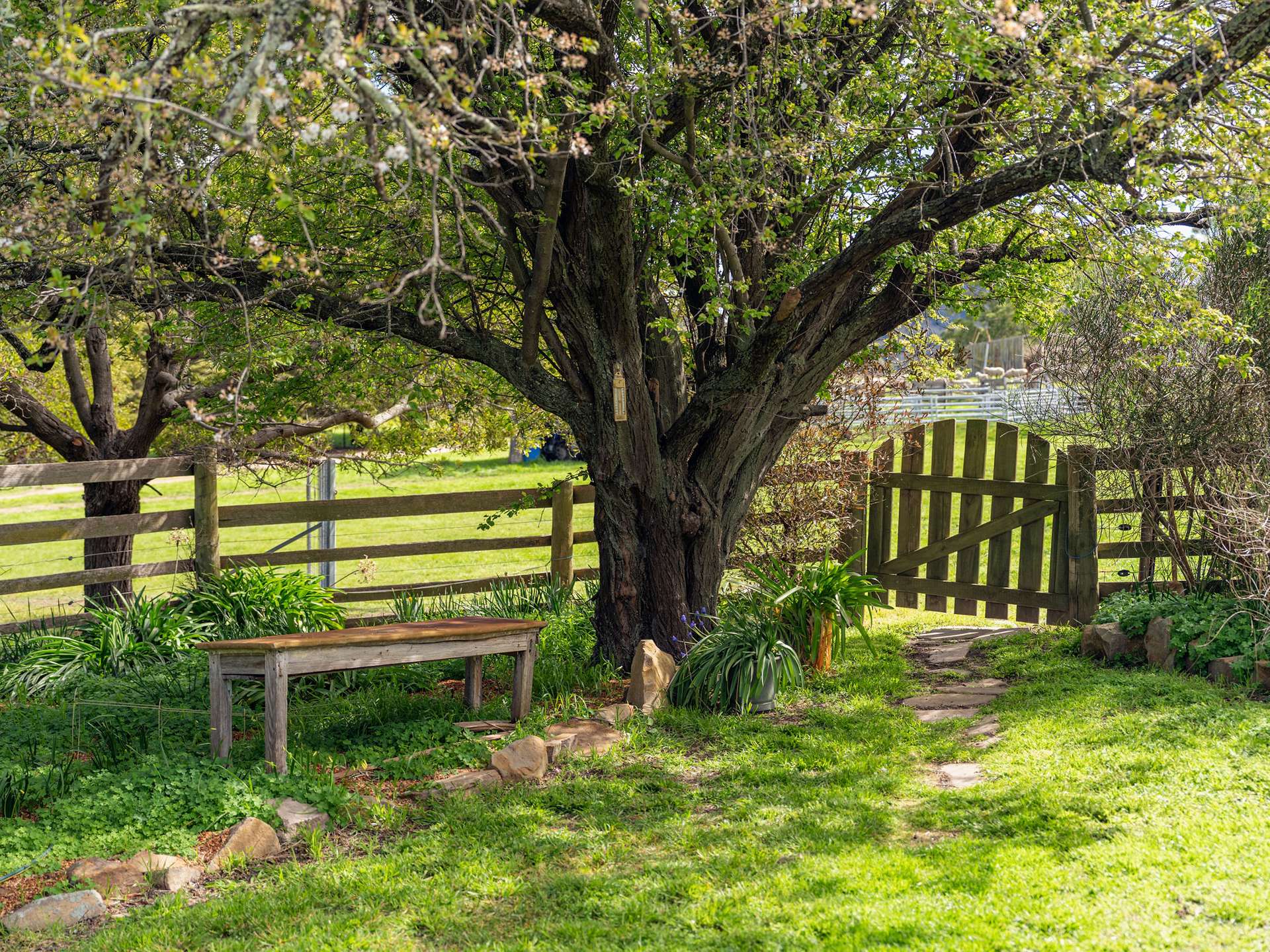 669 Black Brush Road, Broadmarsh For Sale by Farmbuy.com - image 26