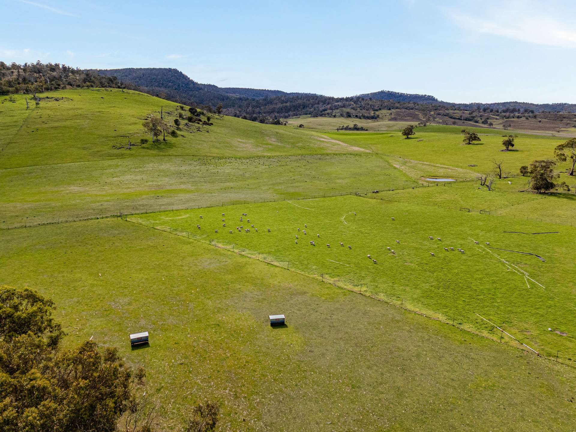 669 Black Brush Road, Broadmarsh For Sale by Farmbuy.com - image 8