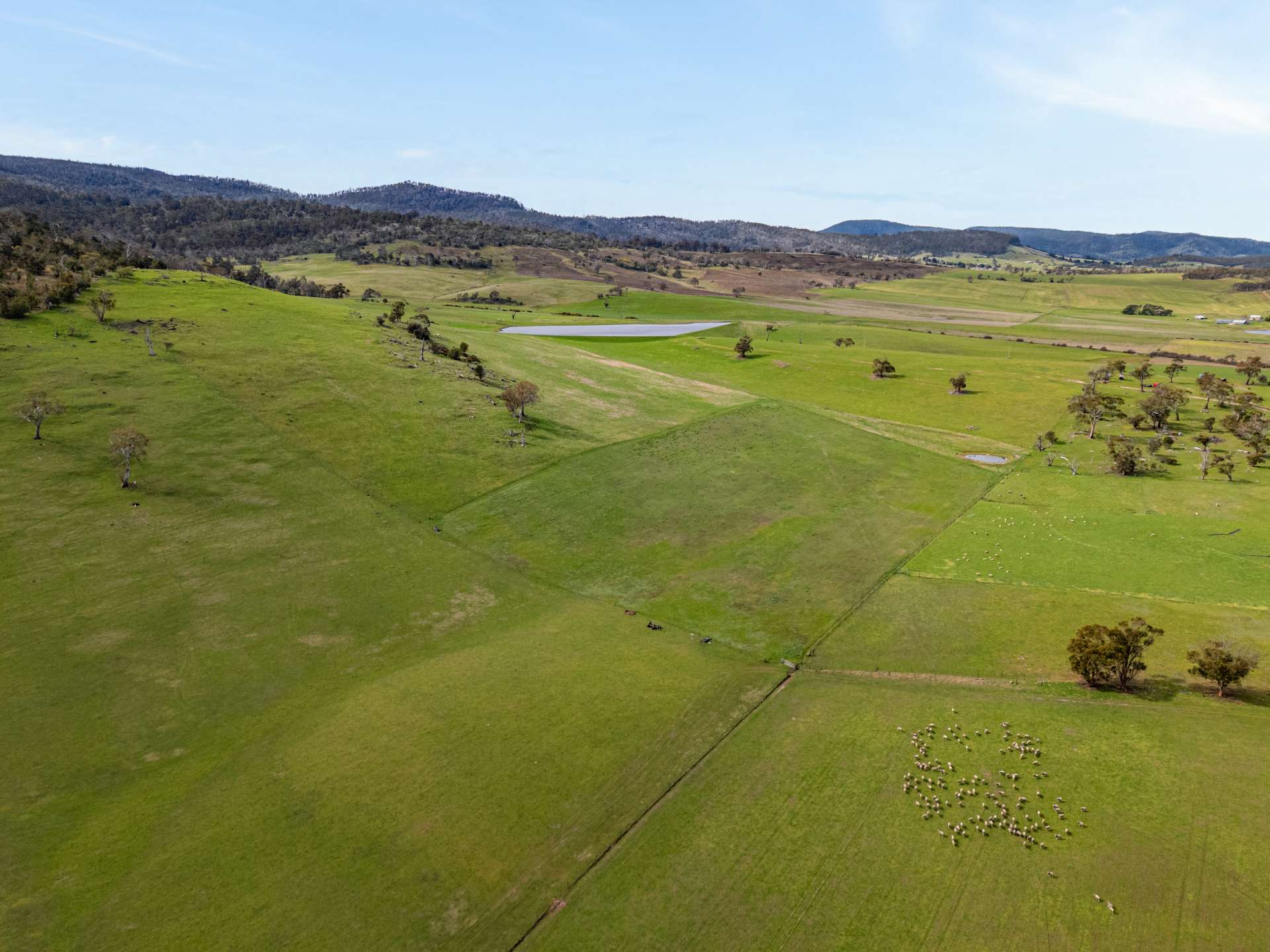 669 Black Brush Road, Broadmarsh For Sale by Farmbuy.com - image 4