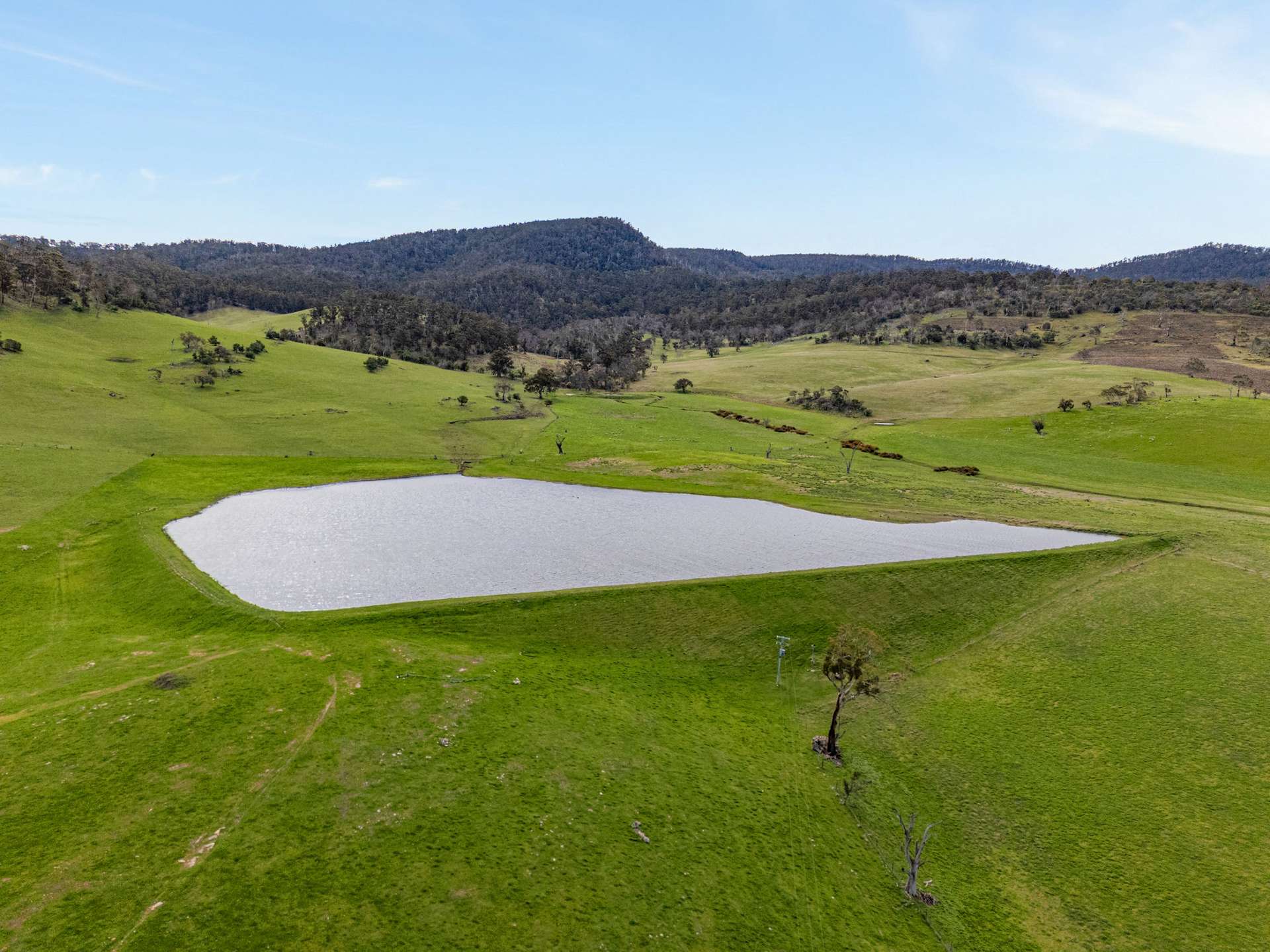 669 Black Brush Road, Broadmarsh For Sale by Farmbuy.com - image 4
