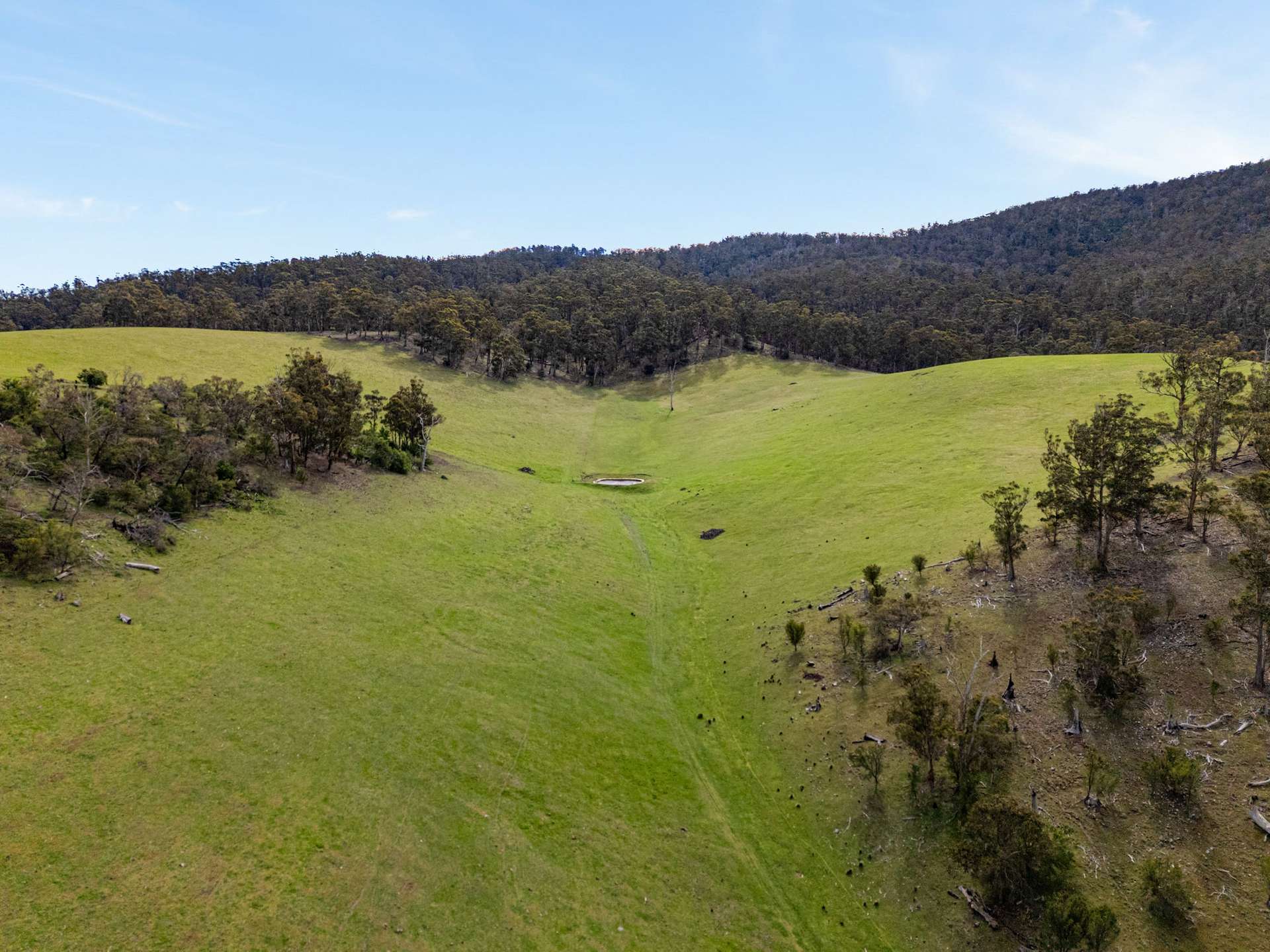 669 Black Brush Road, Broadmarsh For Sale by Farmbuy.com - image 9