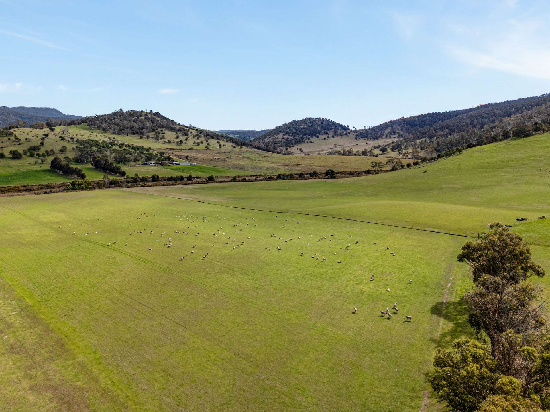 669 Black Brush Road, Broadmarsh For Sale by Farmbuy.com - image 7