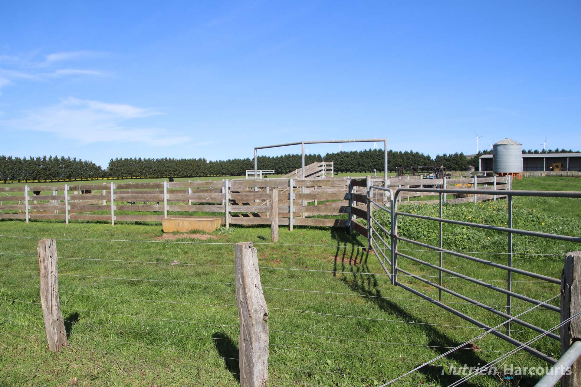 237 Edmonston Road, Addington Tender by Farmbuy.com - image 21