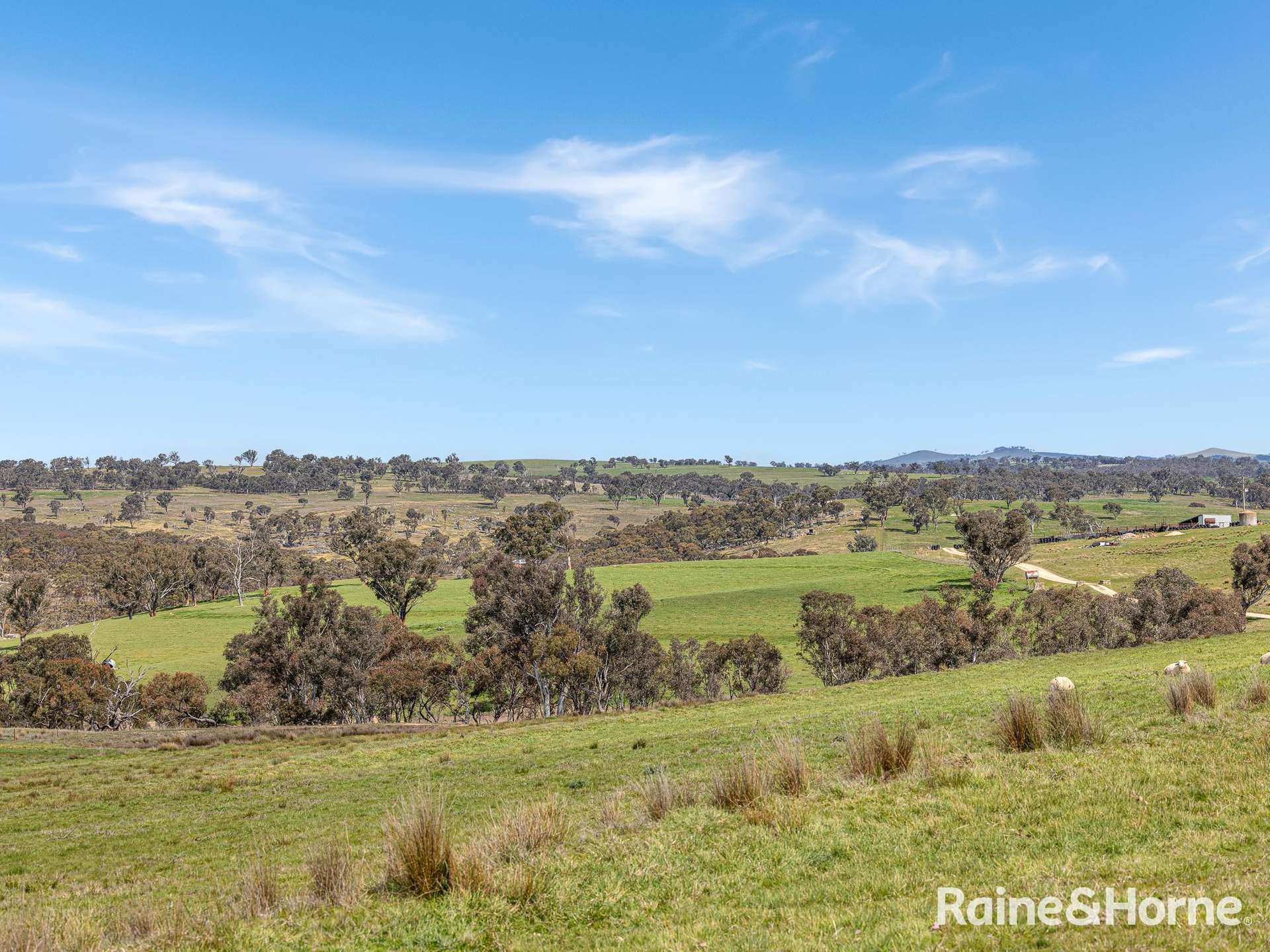 1557 Mid Western Highway, Evans Plains For Sale by Farmbuy.com - image 26