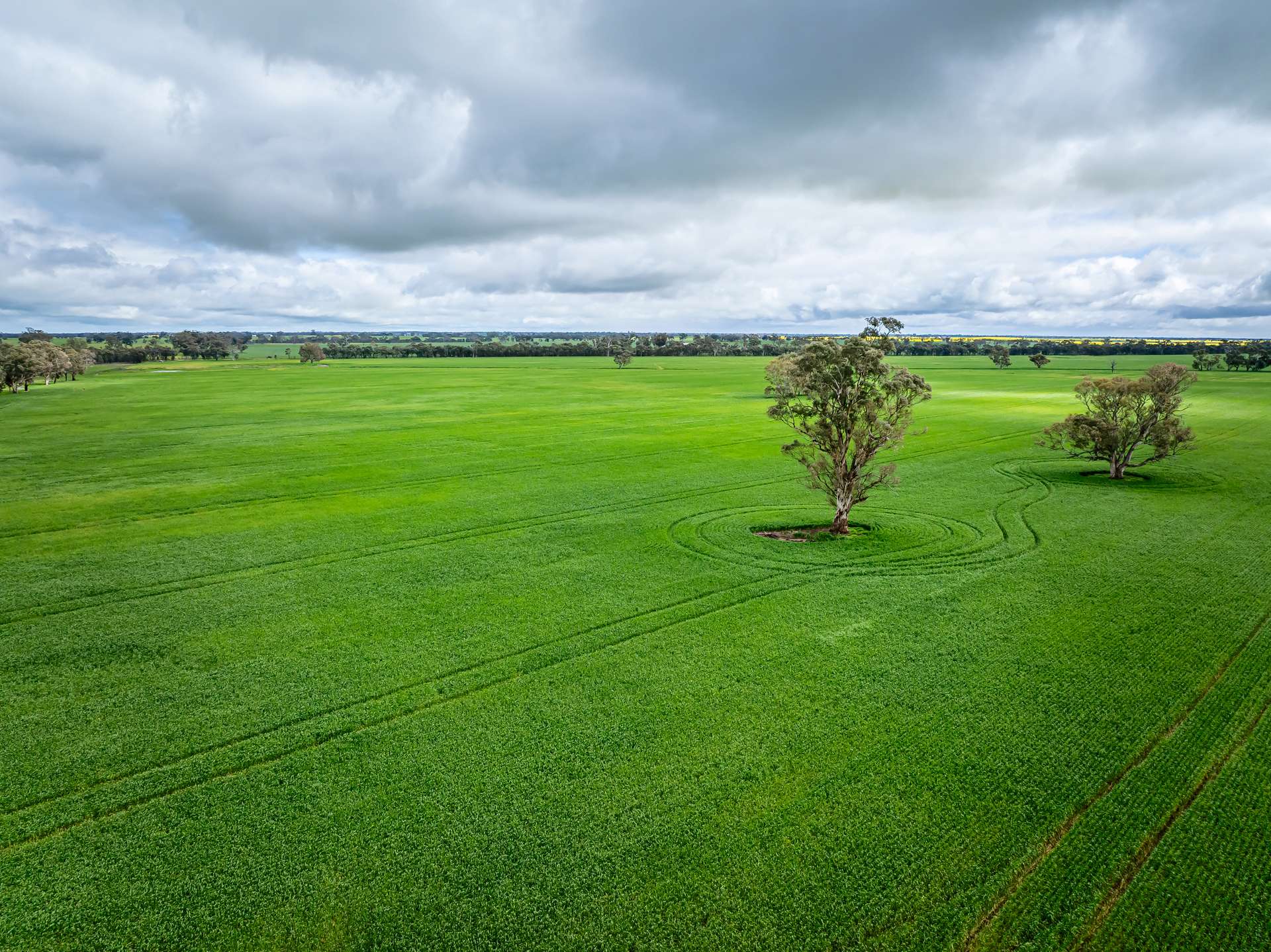 210 Cumings Road, Peronne For Sale by Farmbuy.com - image 17