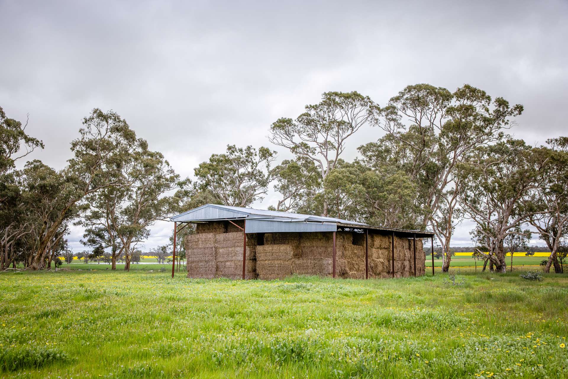 210 Cumings Road, Peronne For Sale by Farmbuy.com - image 13
