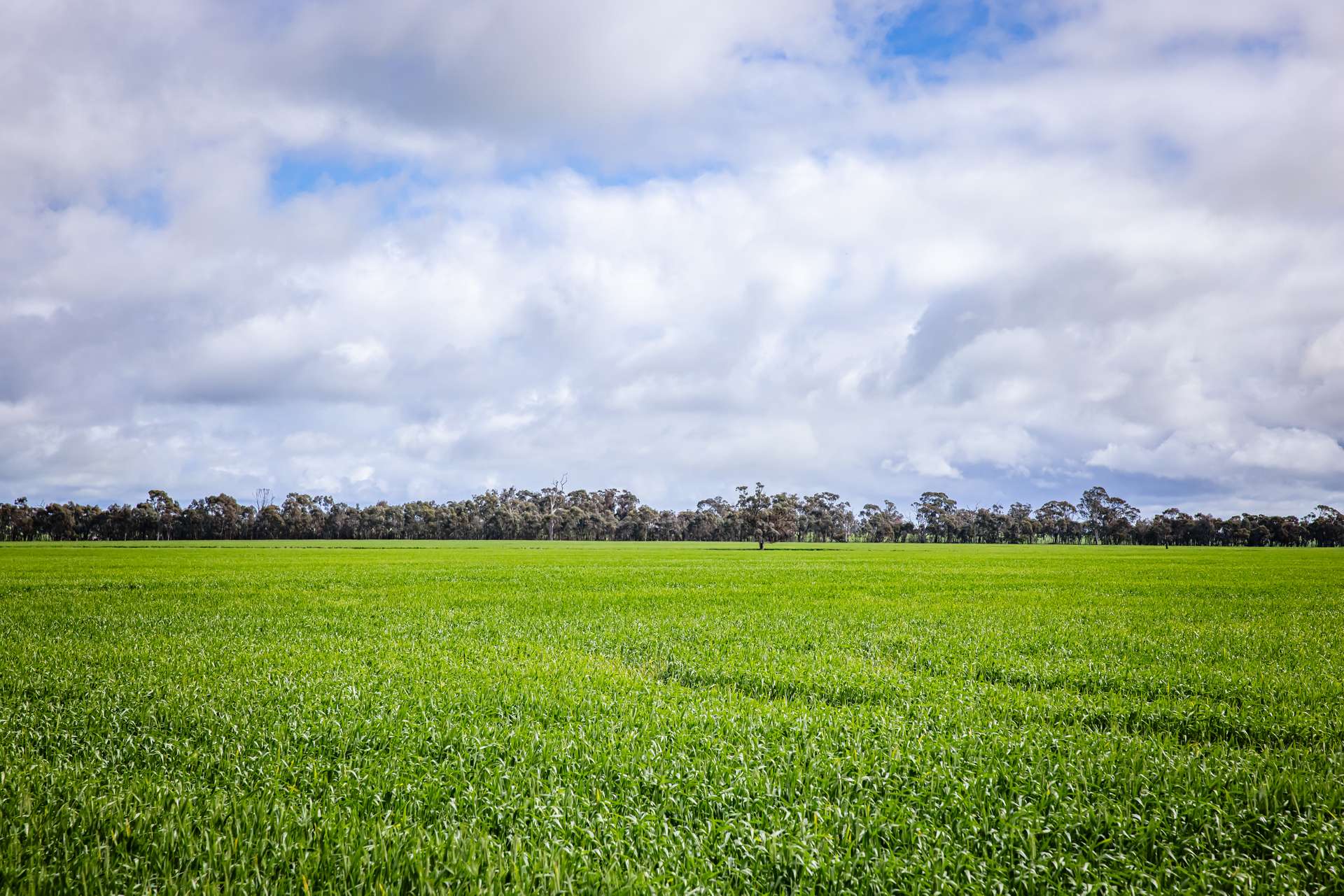 210 Cumings Road, Peronne For Sale by Farmbuy.com - image 1