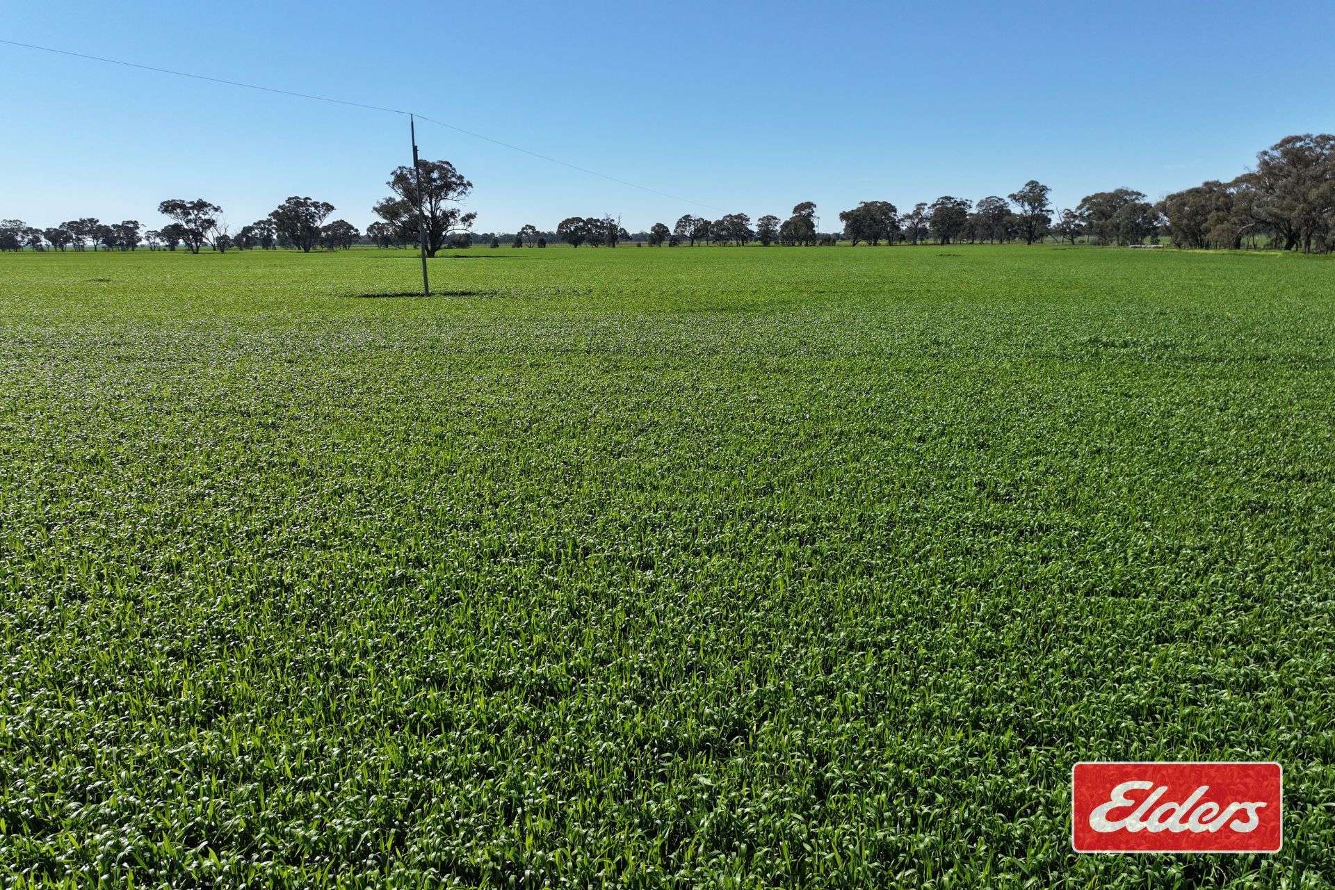 Crown Allotment 92Wanalta Corop Road, Colbinabbin For Sale by Farmbuy.com - image 10