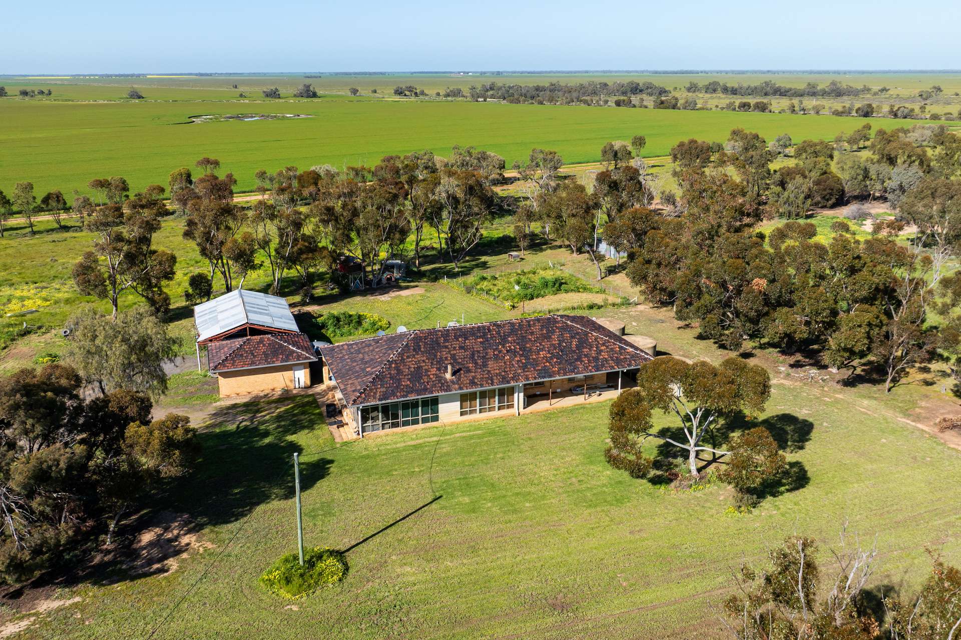 'Cobranette' 1802 Caldwell Line Road, Caldwell For Sale by Farmbuy.com - image 31