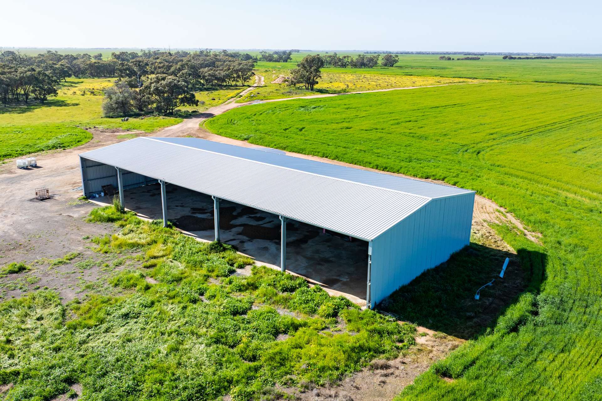 'Cobranette' 1802 Caldwell Line Road, Caldwell For Sale by Farmbuy.com - image 8