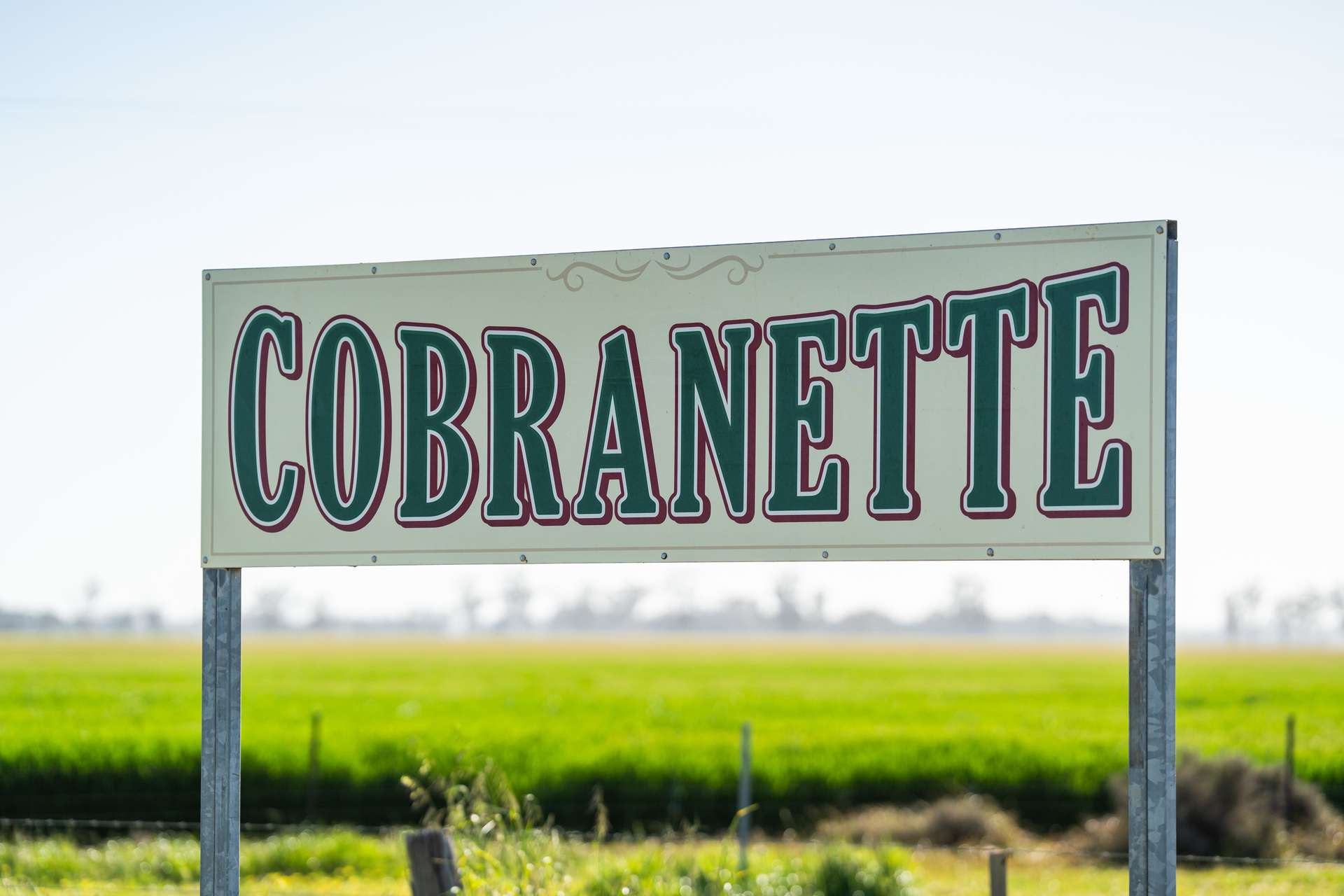 'Cobranette' 1802 Caldwell Line Road, Caldwell For Sale by Farmbuy.com - image 3