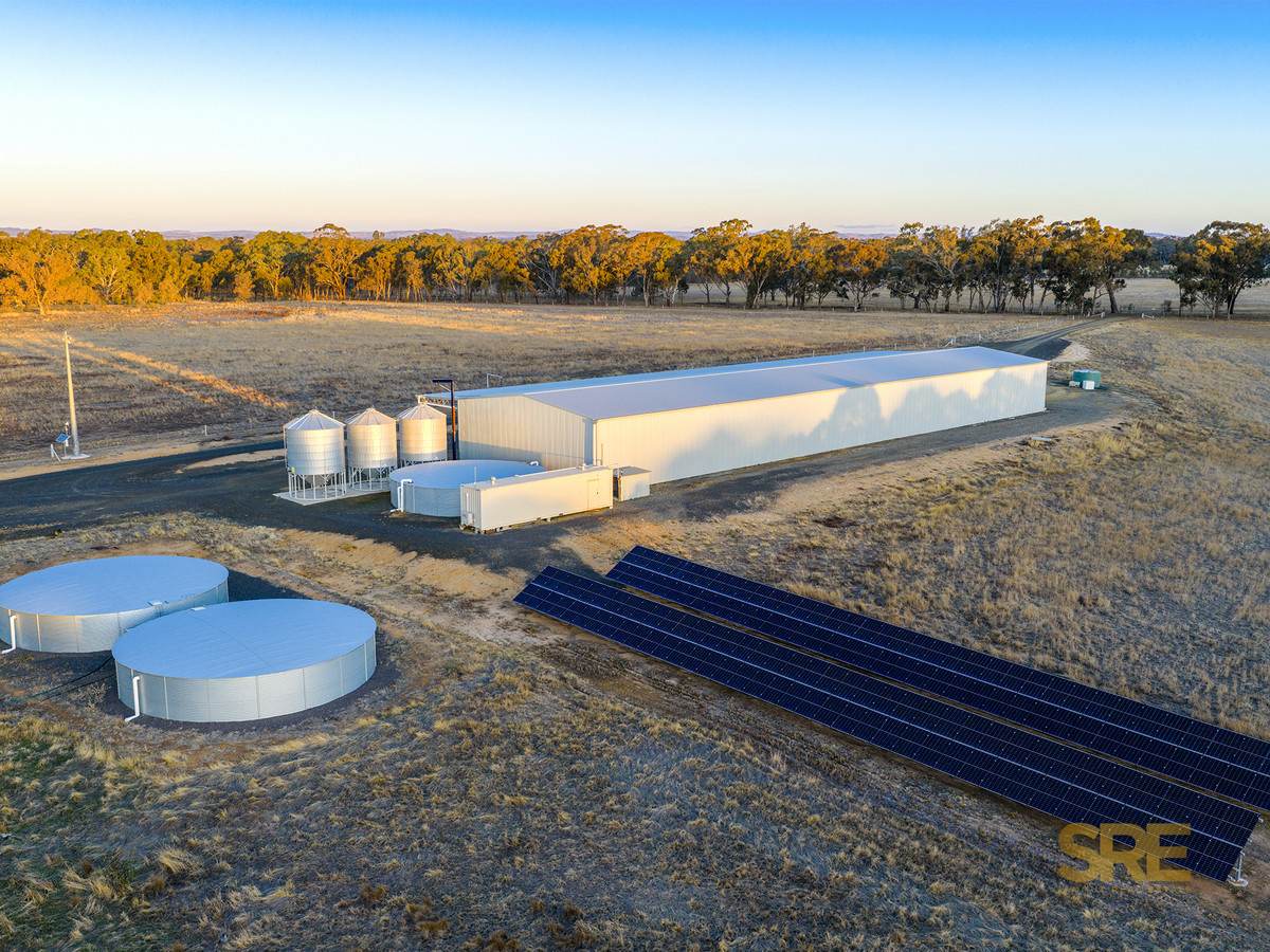 377 Racecourse Road, Redesdale For Sale by Farmbuy.com - image 4