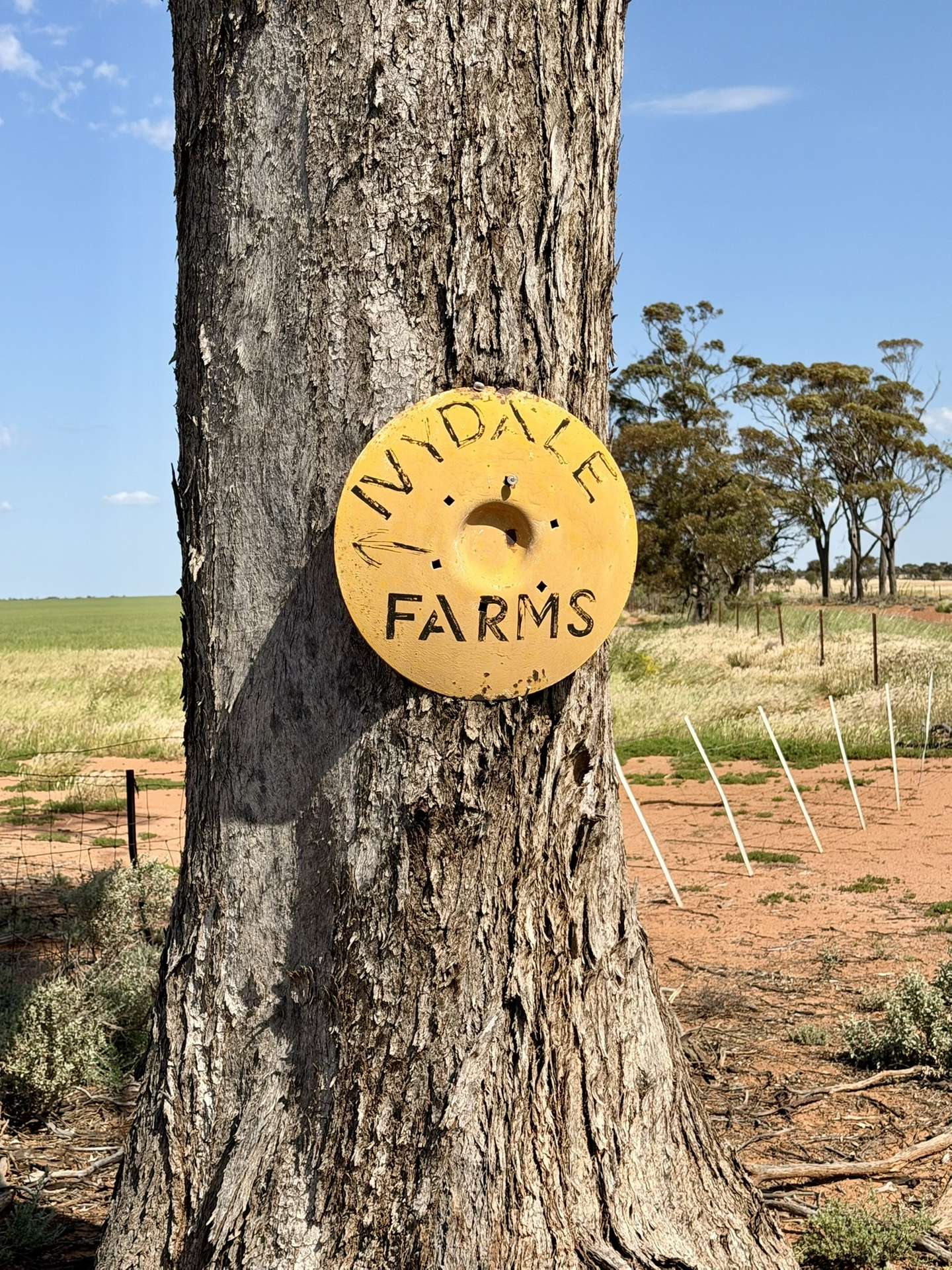 1759 Nungarin-Wyalkatchem Road, South Kununoppin For Sale by Farmbuy.com - image 33