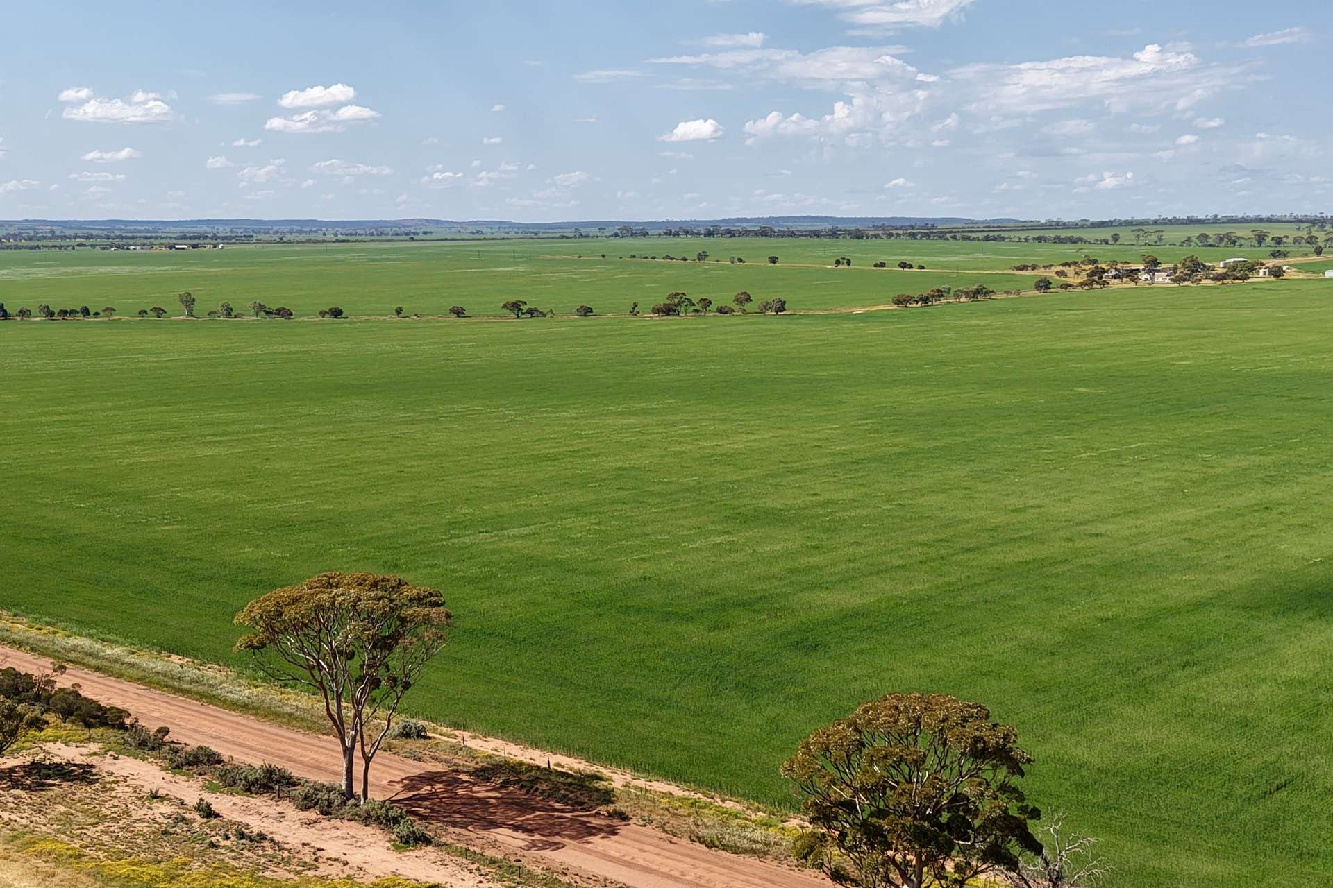 1759 Nungarin-Wyalkatchem Road, South Kununoppin For Sale by Farmbuy.com - image 1