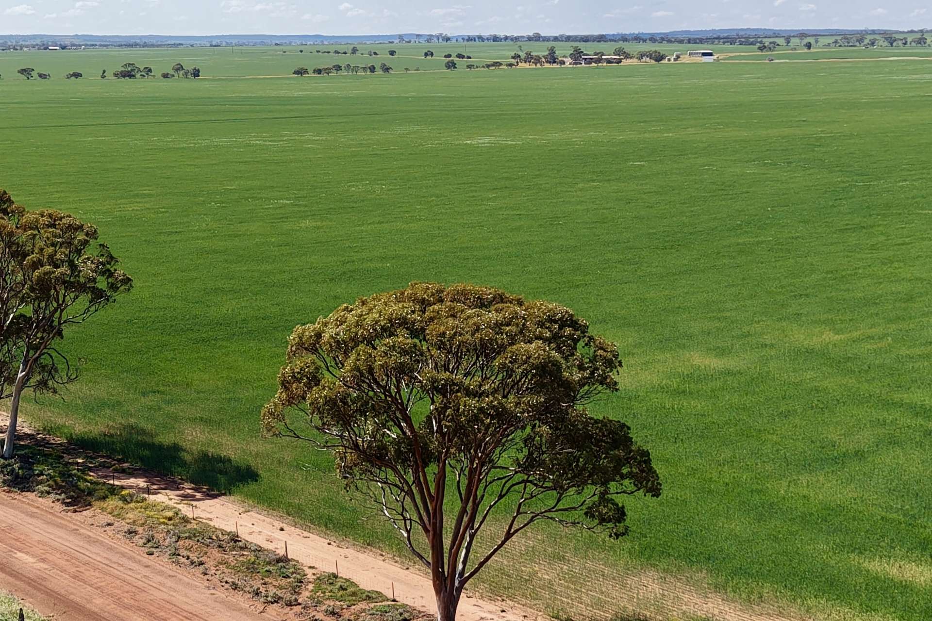 1759 Nungarin-Wyalkatchem Road, South Kununoppin For Sale by Farmbuy.com - image 17
