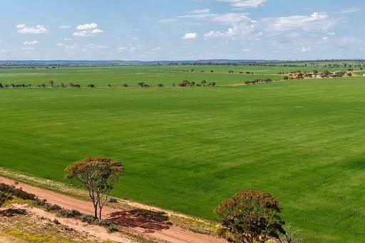 1759 Nungarin-Wyalkatchem Road, South Kununoppin WA 6489