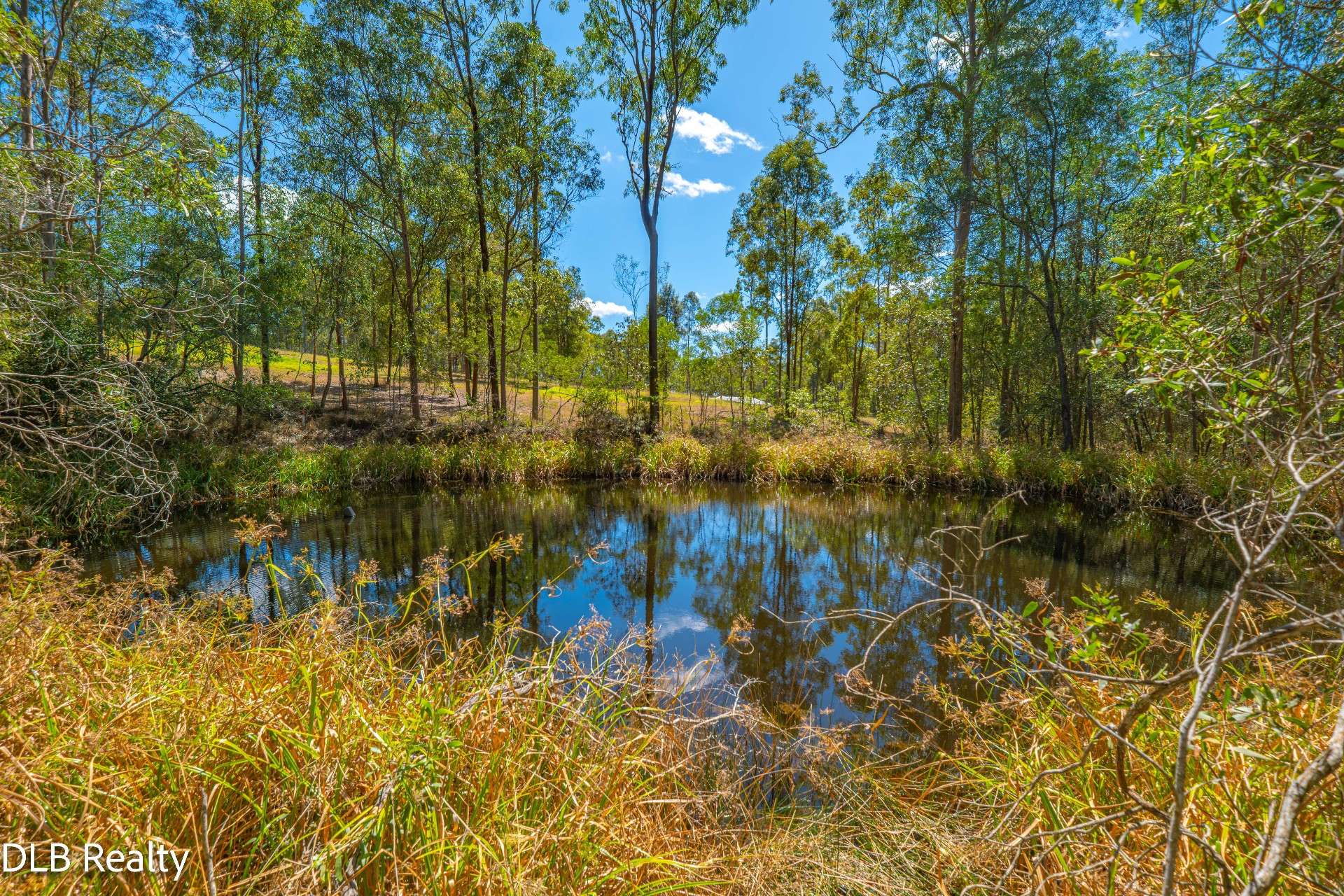 124 North Deep Creek Road, North Deep Creek For Sale by Farmbuy.com - image 27