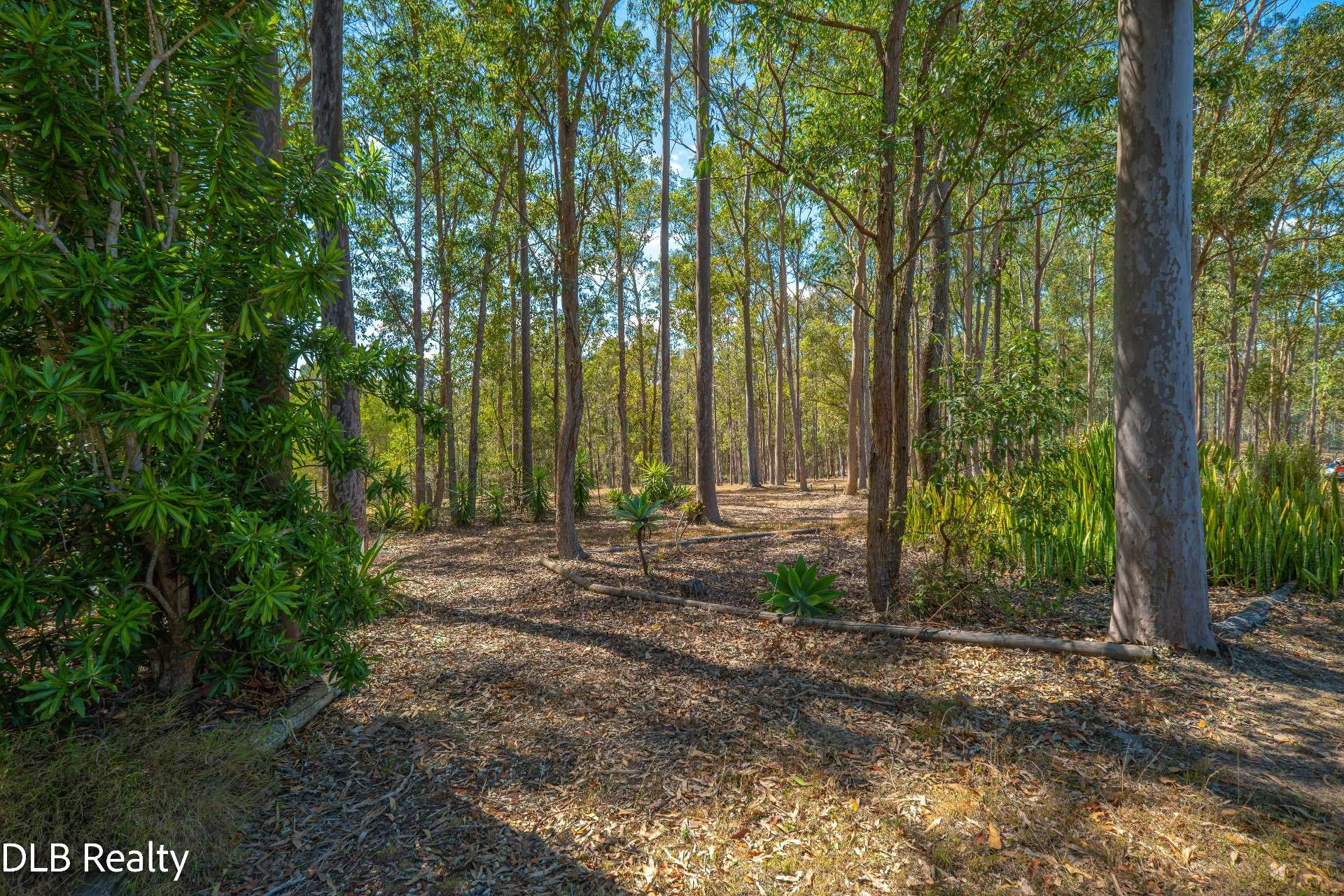 124 North Deep Creek Road, North Deep Creek For Sale by Farmbuy.com - image 25