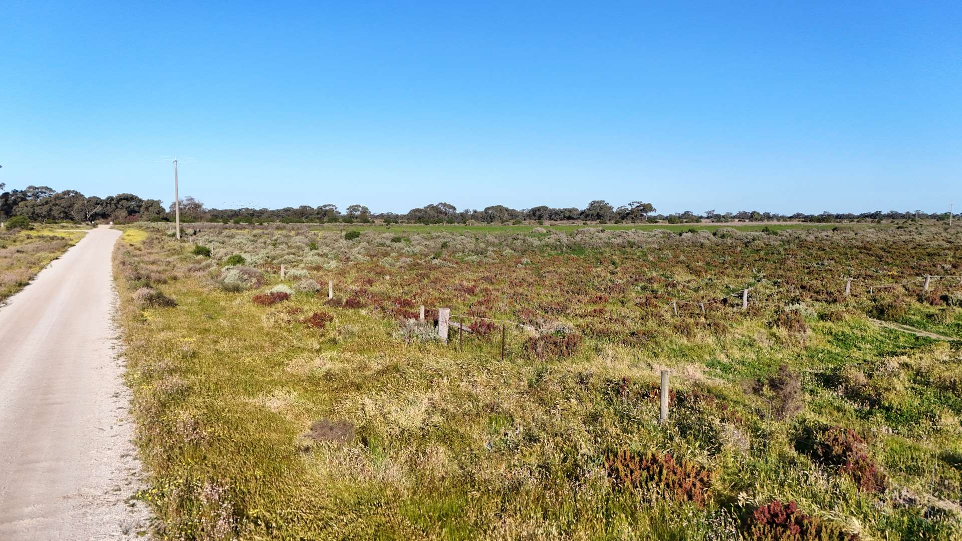 Lot 3, TP321147Q Hogg Road, Lake Charm For Sale by Farmbuy.com - image 6