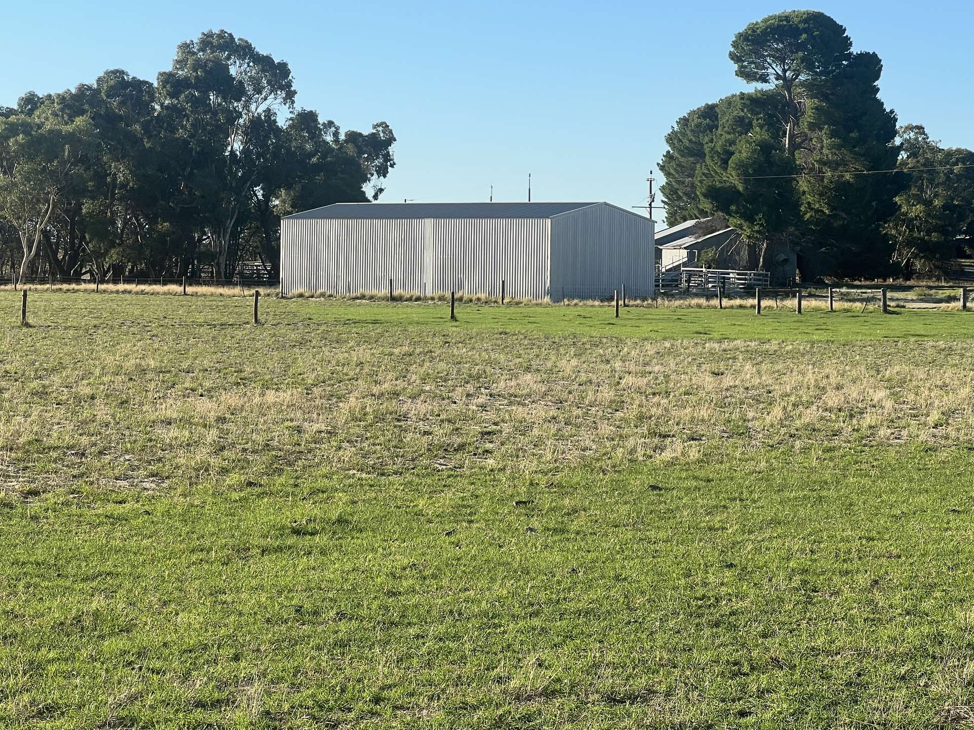 2625 Carcuma Road, Tintinara For Sale by Farmbuy.com - image 4