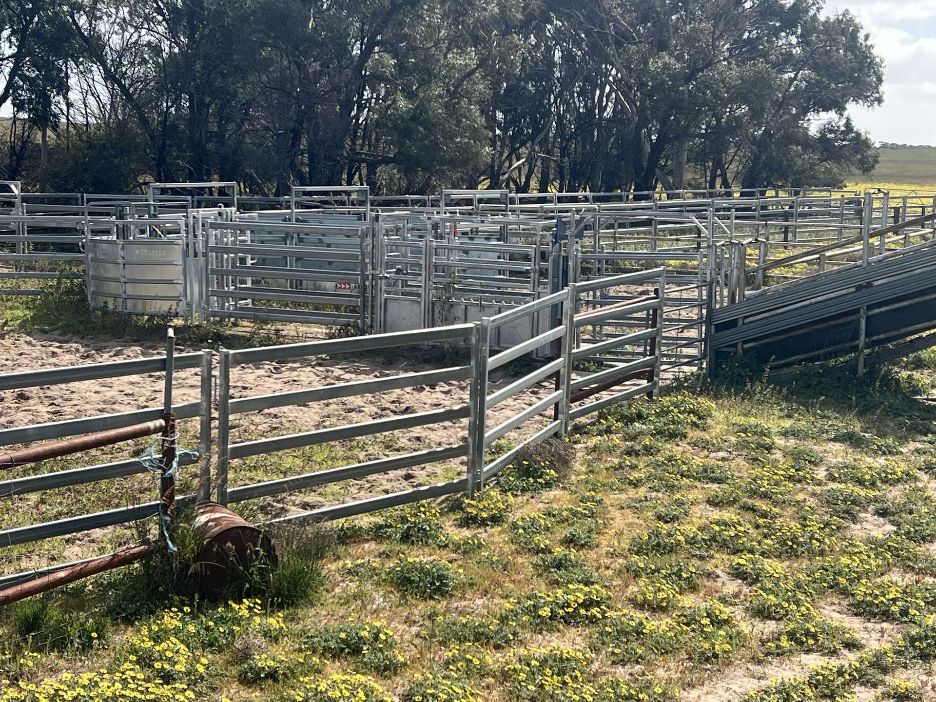 2625 Carcuma Road, Tintinara For Sale by Farmbuy.com - image 12